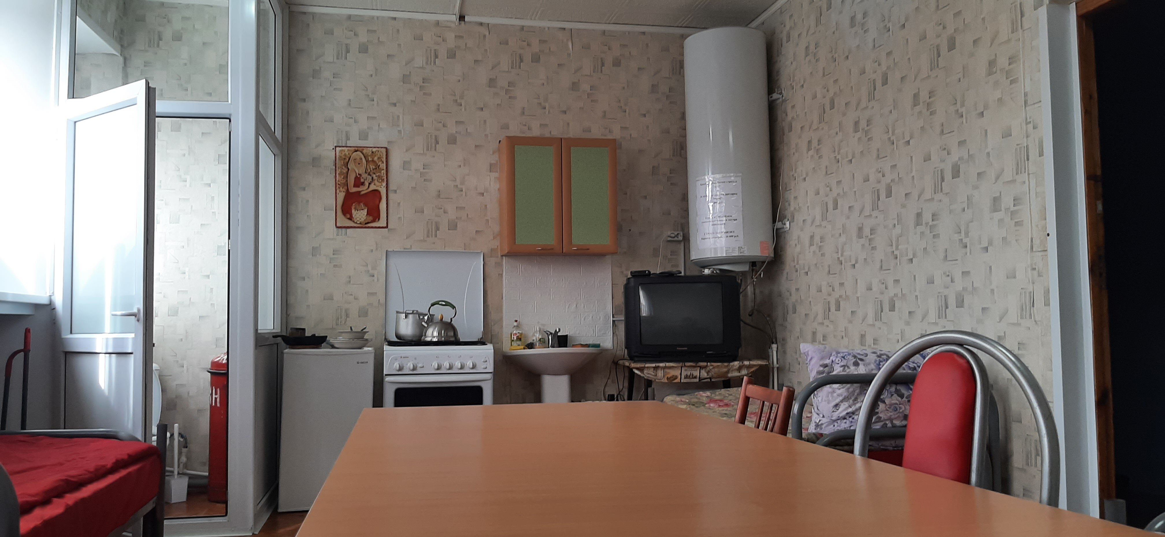 Фото Дельфин