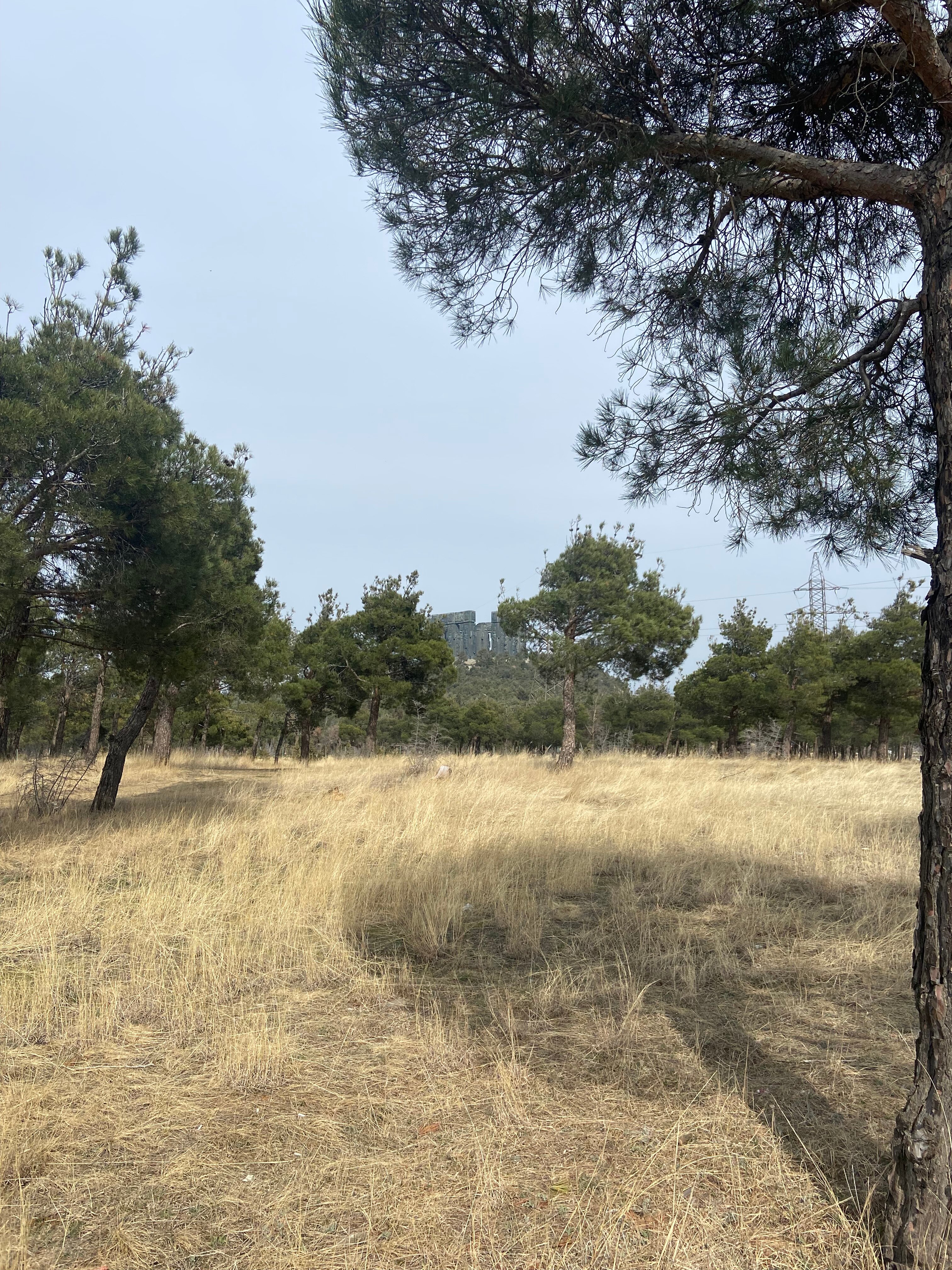 Фото Tbilisi Inn