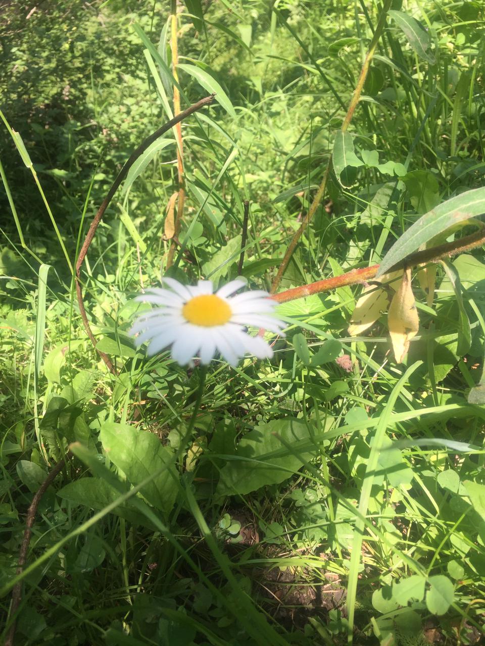 Фото Анастасия