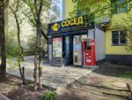 Sosed (Tayyr Zharokov Street, 182), cervecería