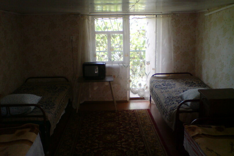 Фото Белая Чайка