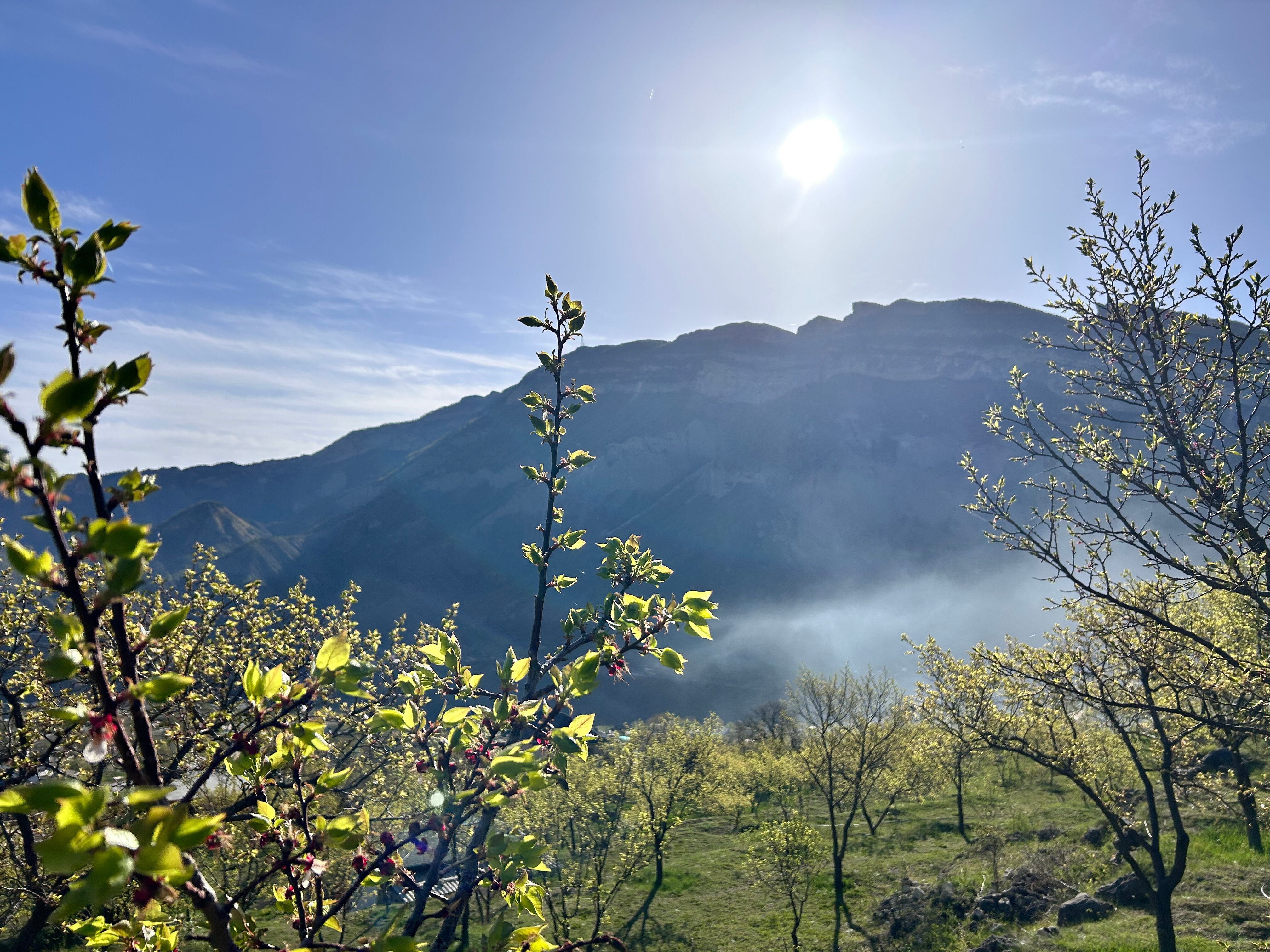 Фото Сиреневый рассвет