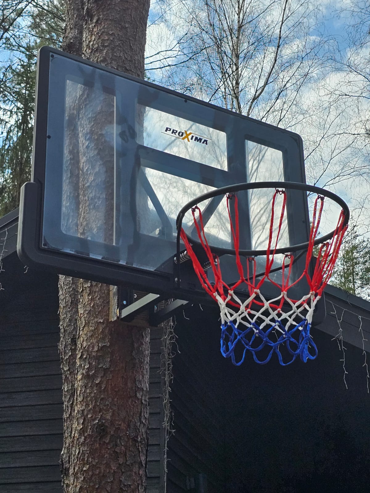 Фото Лосиный ключ