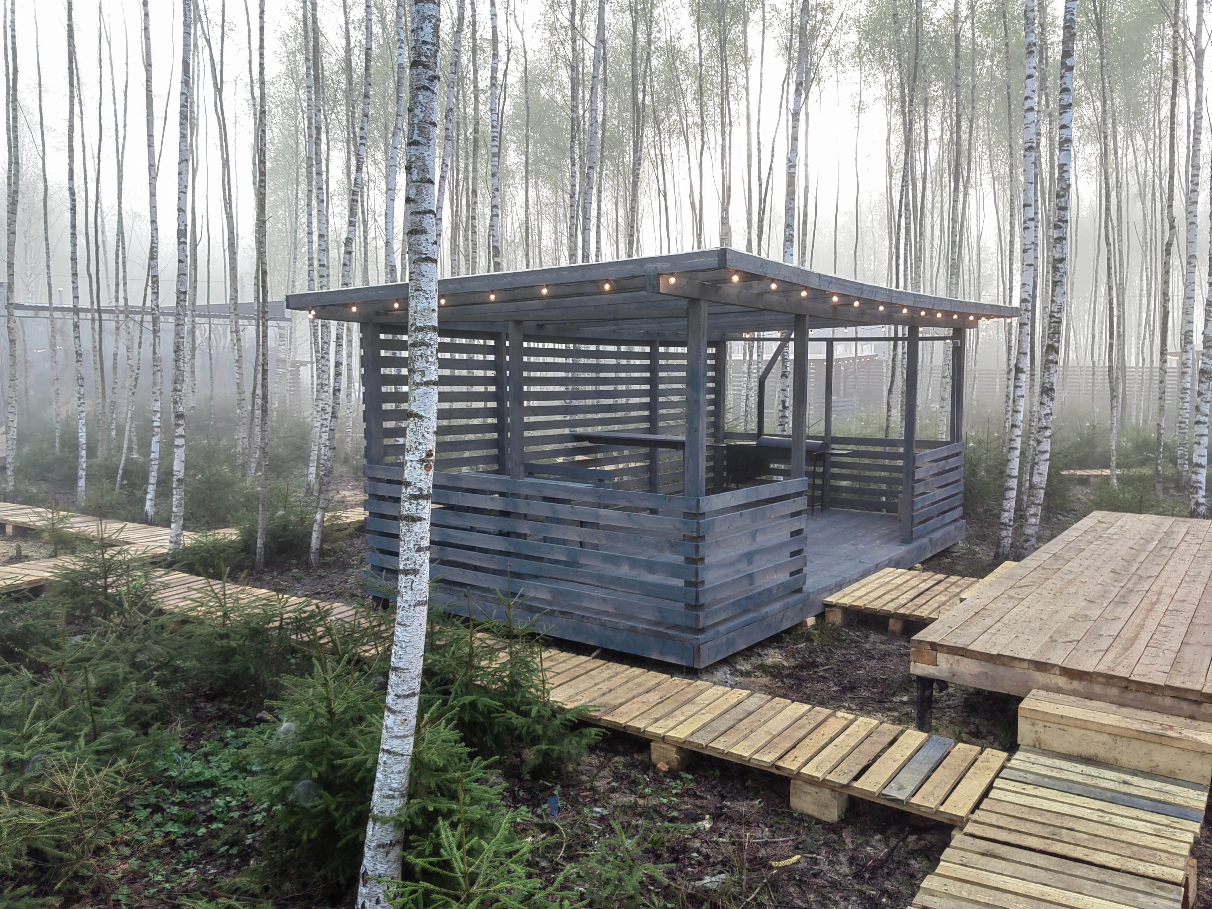 Фото Мы Дома- Зеркальный лес