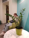 PsyLiner (Moscow, Sholokhova Street, 12), entrenamientos