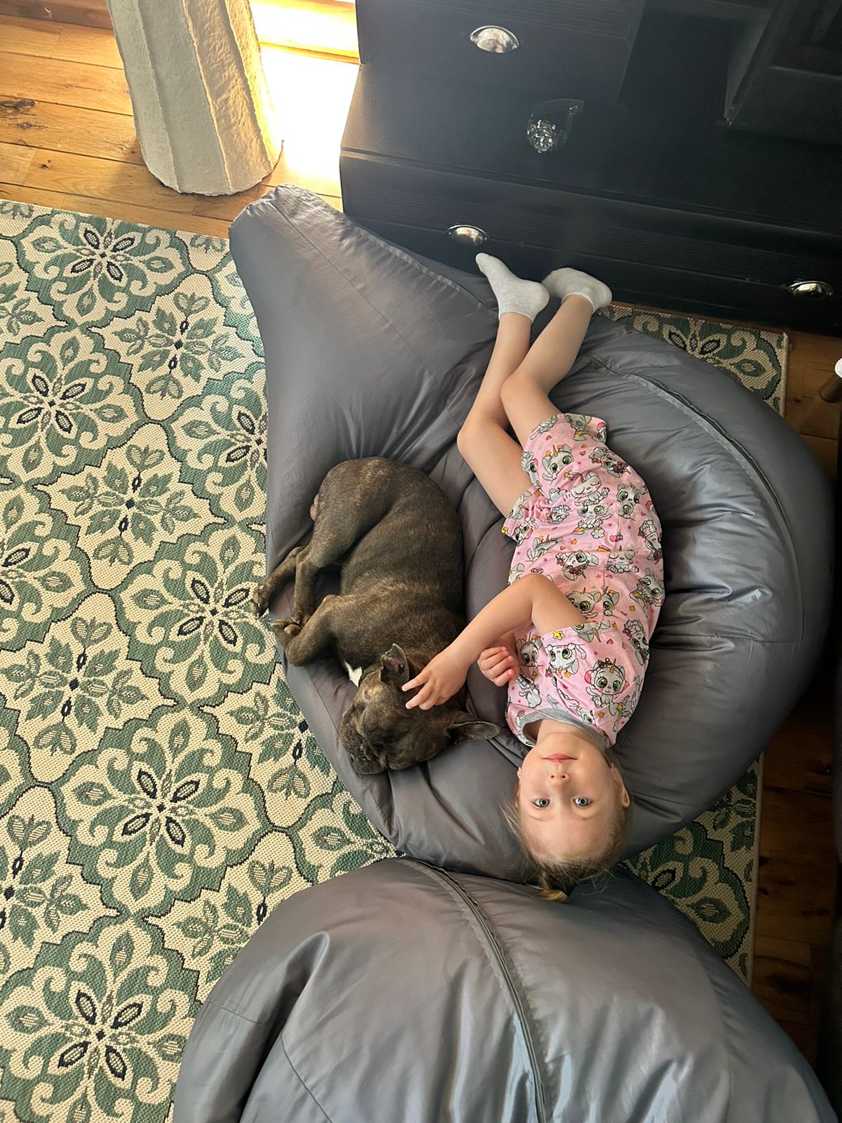 Фото Секвойя