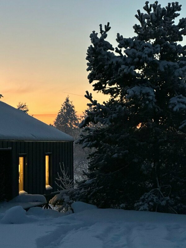 Фото Лунный свет