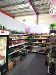 Магазин овощей и фруктов (derevnya Ostrovtsy, kvartal 30137, с695), greengrocery