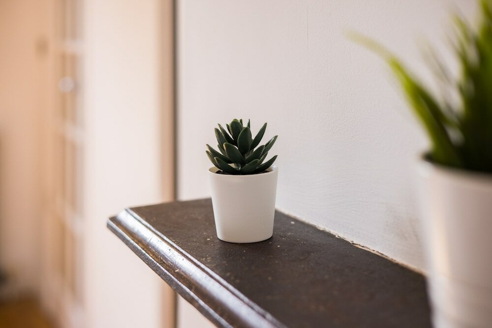 Фото The Bridge Flats