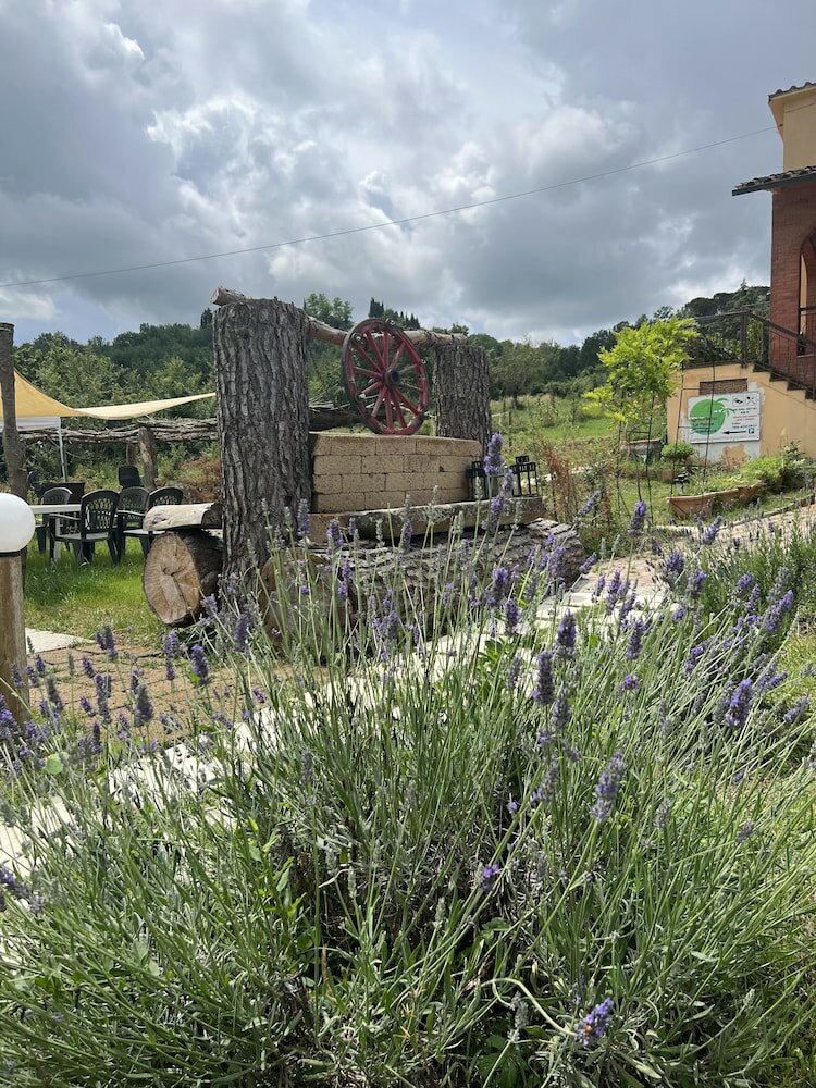 Фото Ristorante Agriturismo La Palma