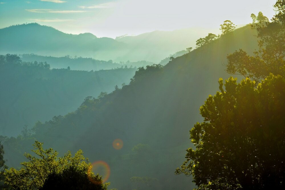 Фото Rainbow Sky Cottage Ella