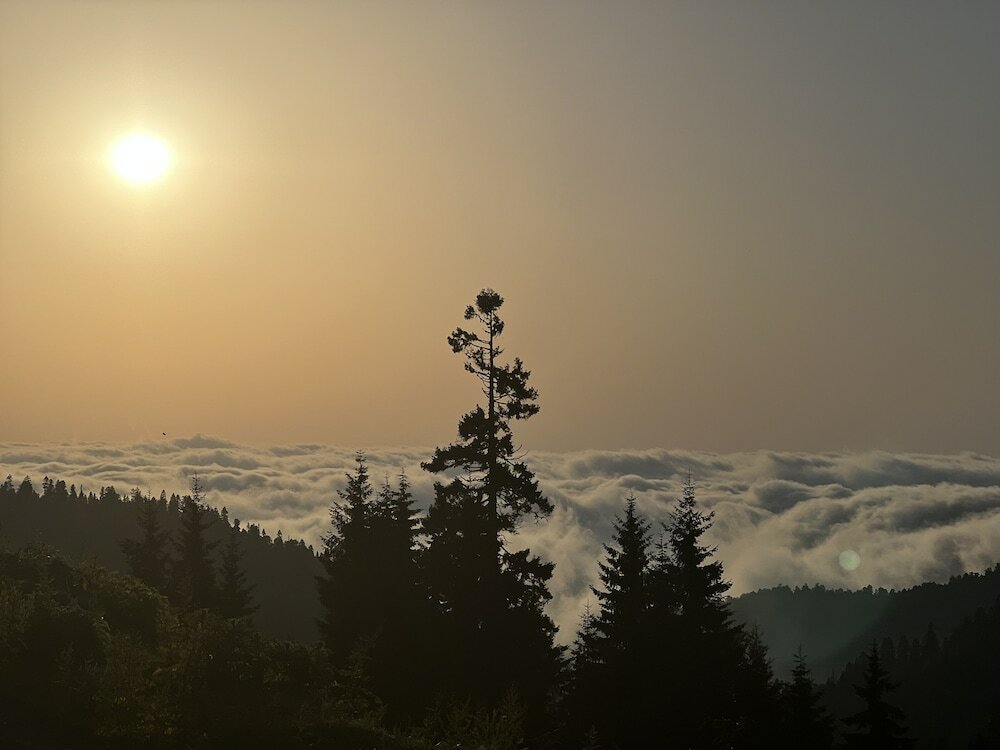 Фото Бахмаро