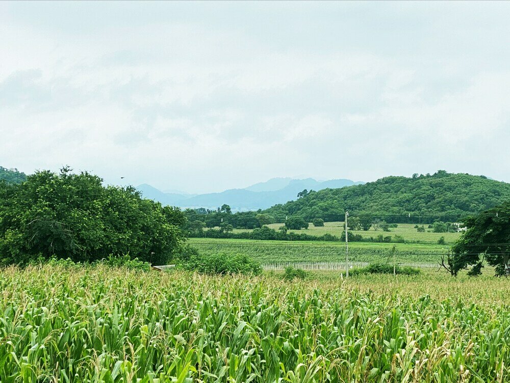 Фото Jardin Residence Pakchong