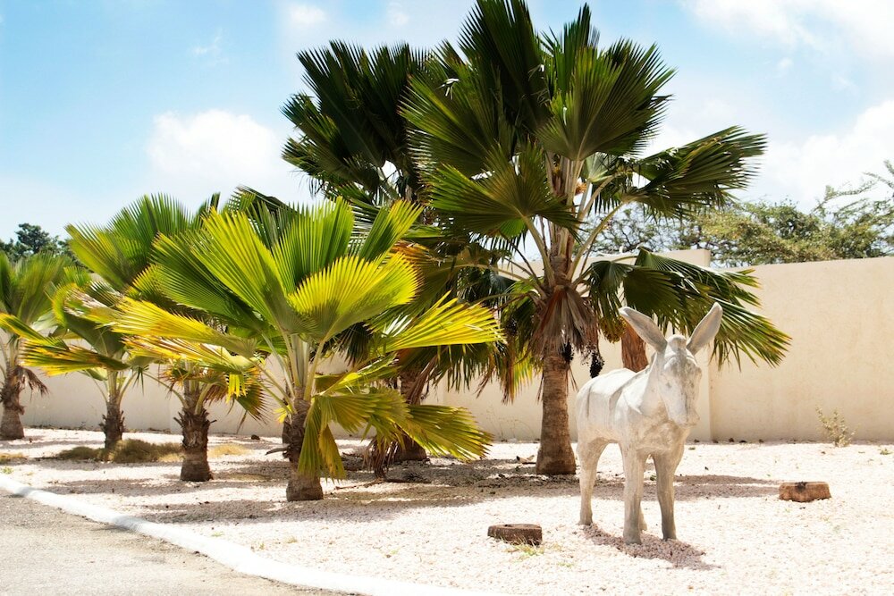 Фото ABC Resort Curaçao