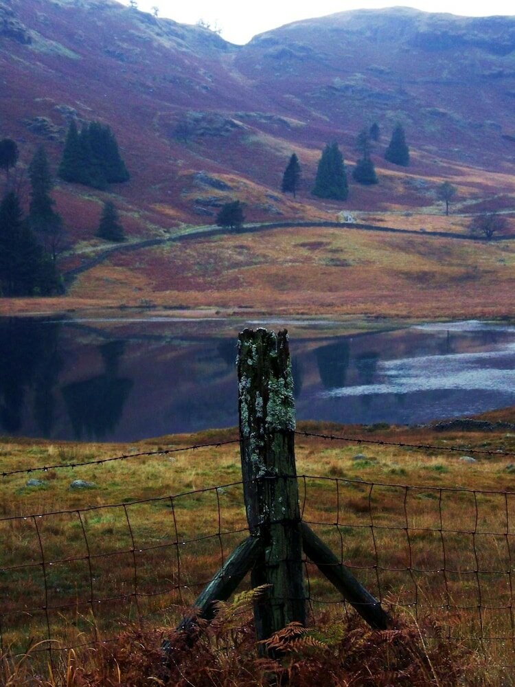 Фото Laurel Cottage B&b Windermere