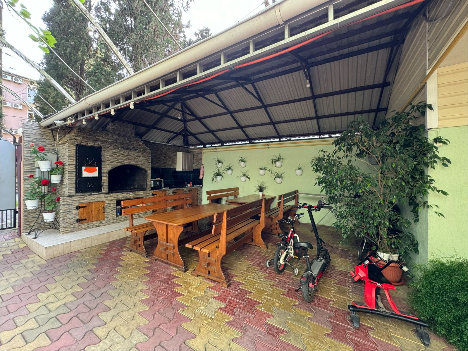 Фото Тростник