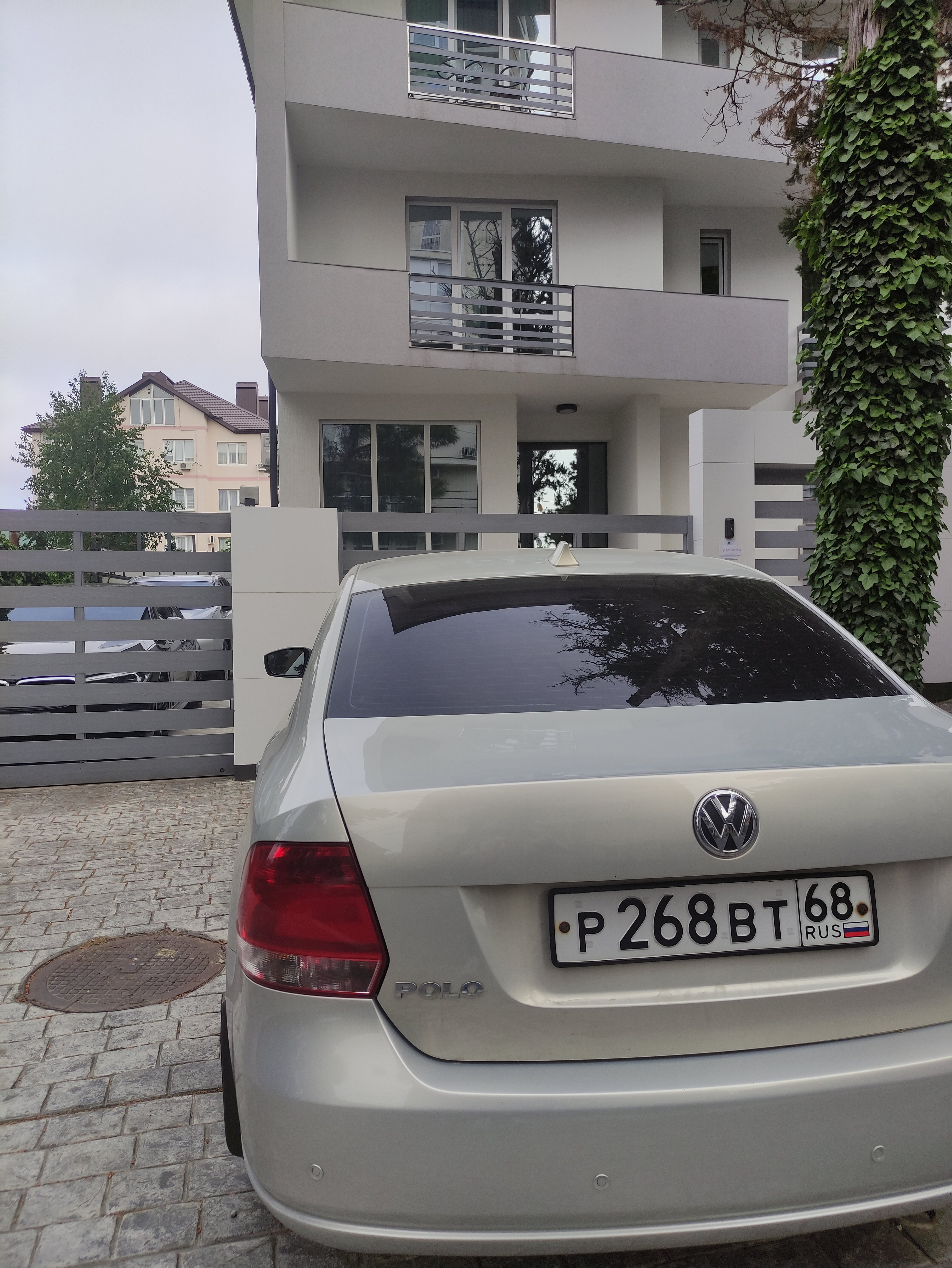 Фото Южная Роза