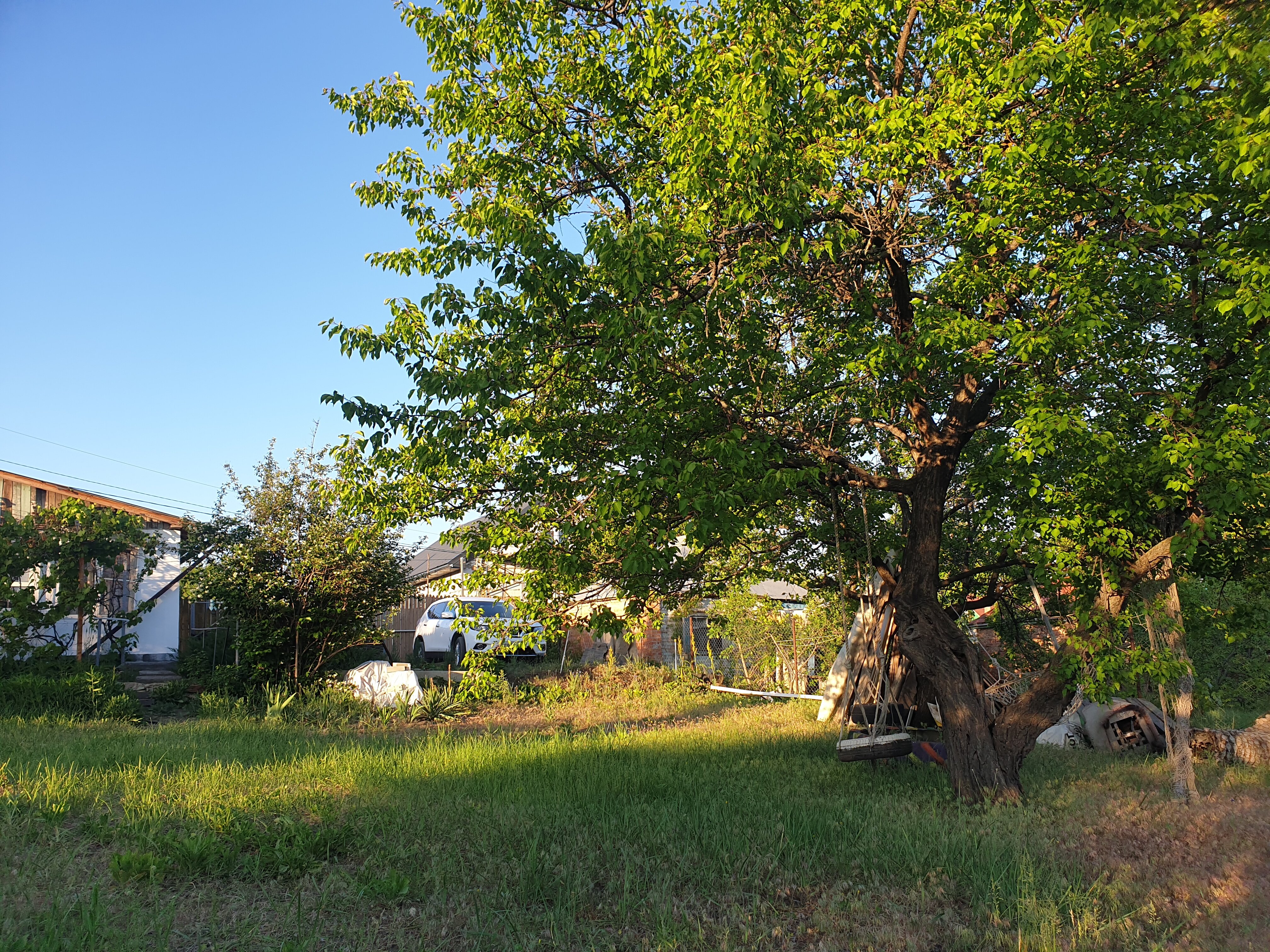 Фото Доброслав