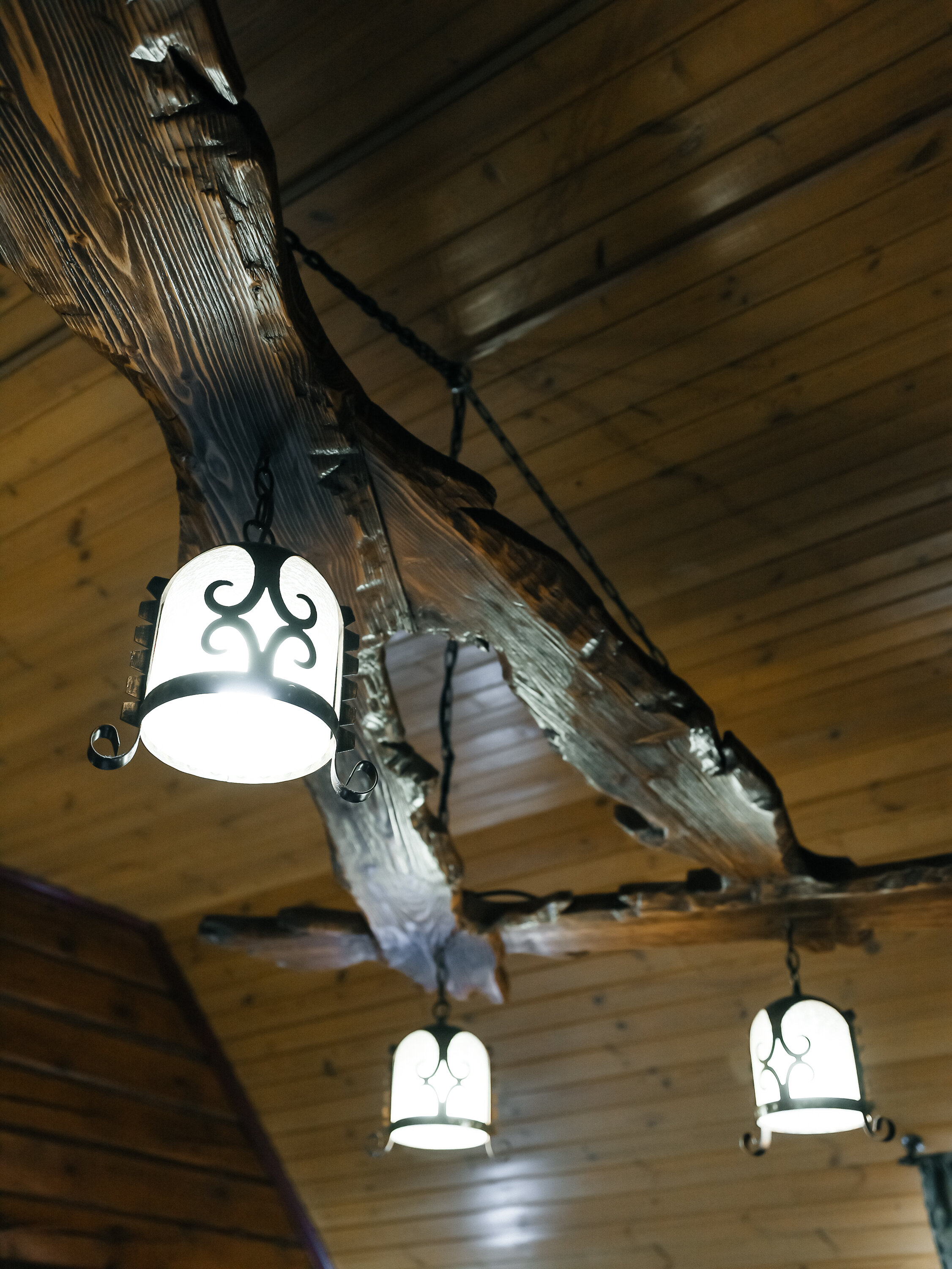 Фото Покровский медведь