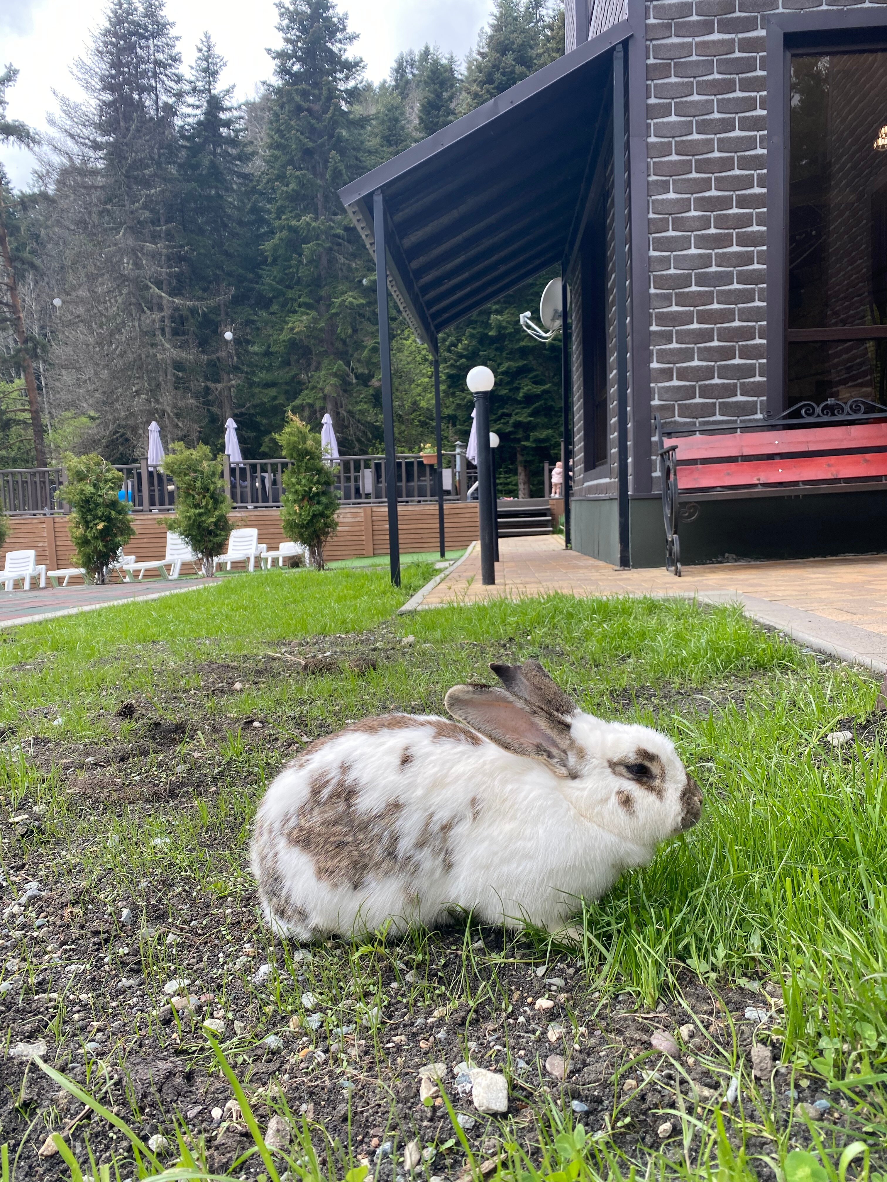 Фото Софийские вершины