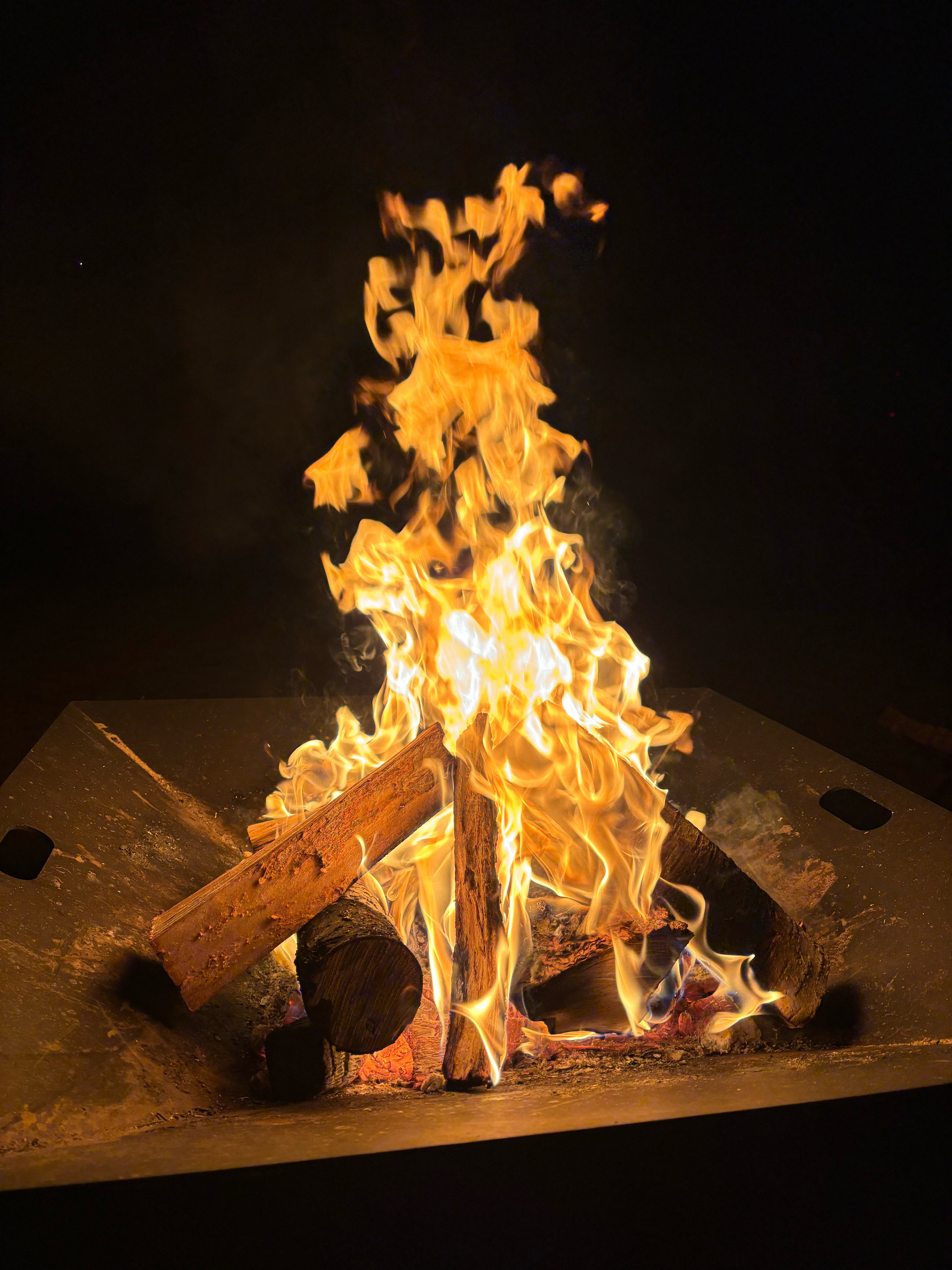 Фото Лахта&Ярви