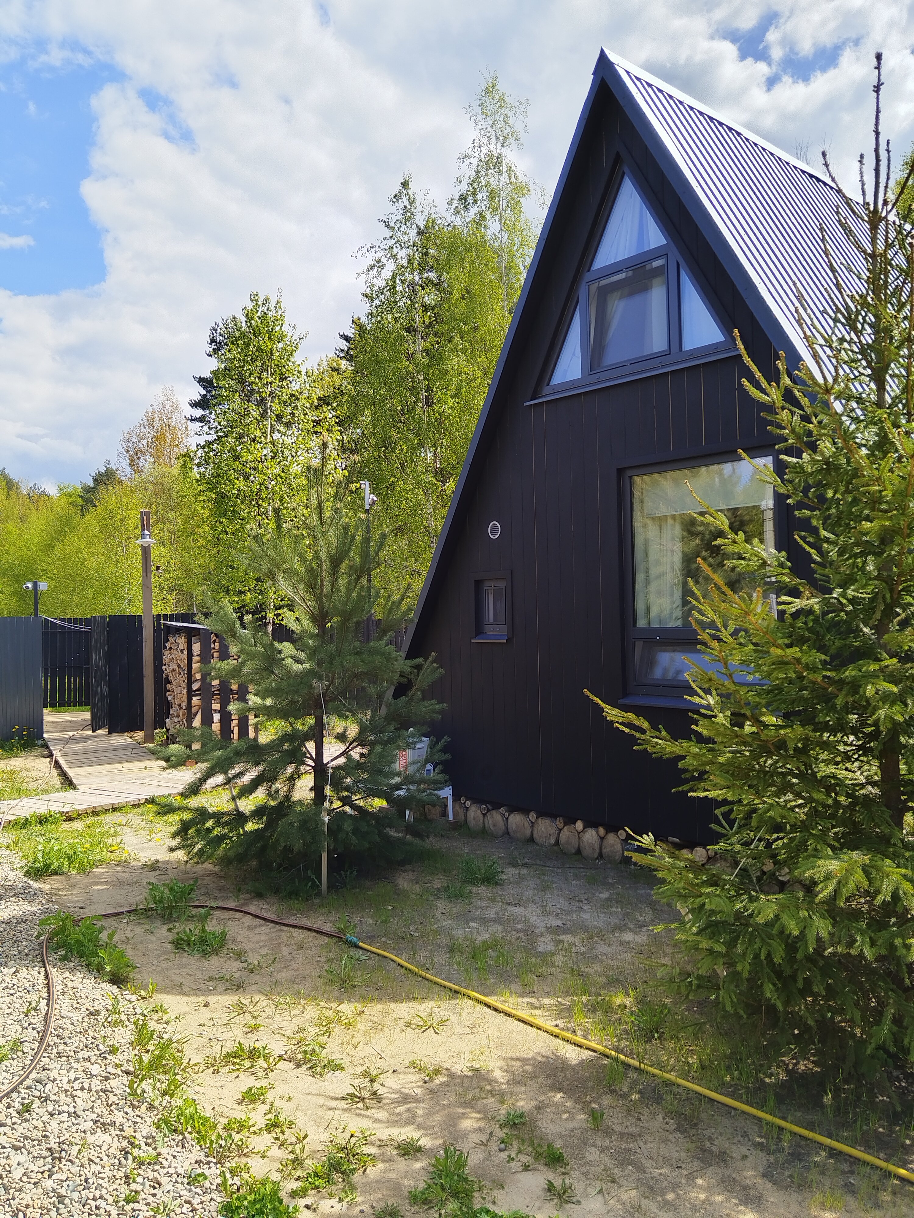 Фото А в лесу