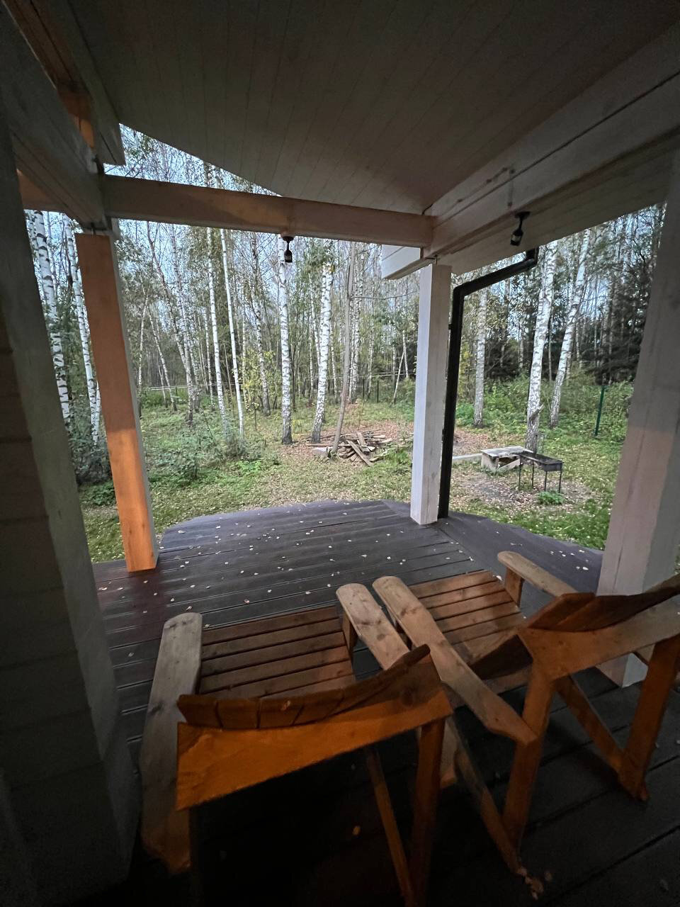 Фото Шале в лесу
