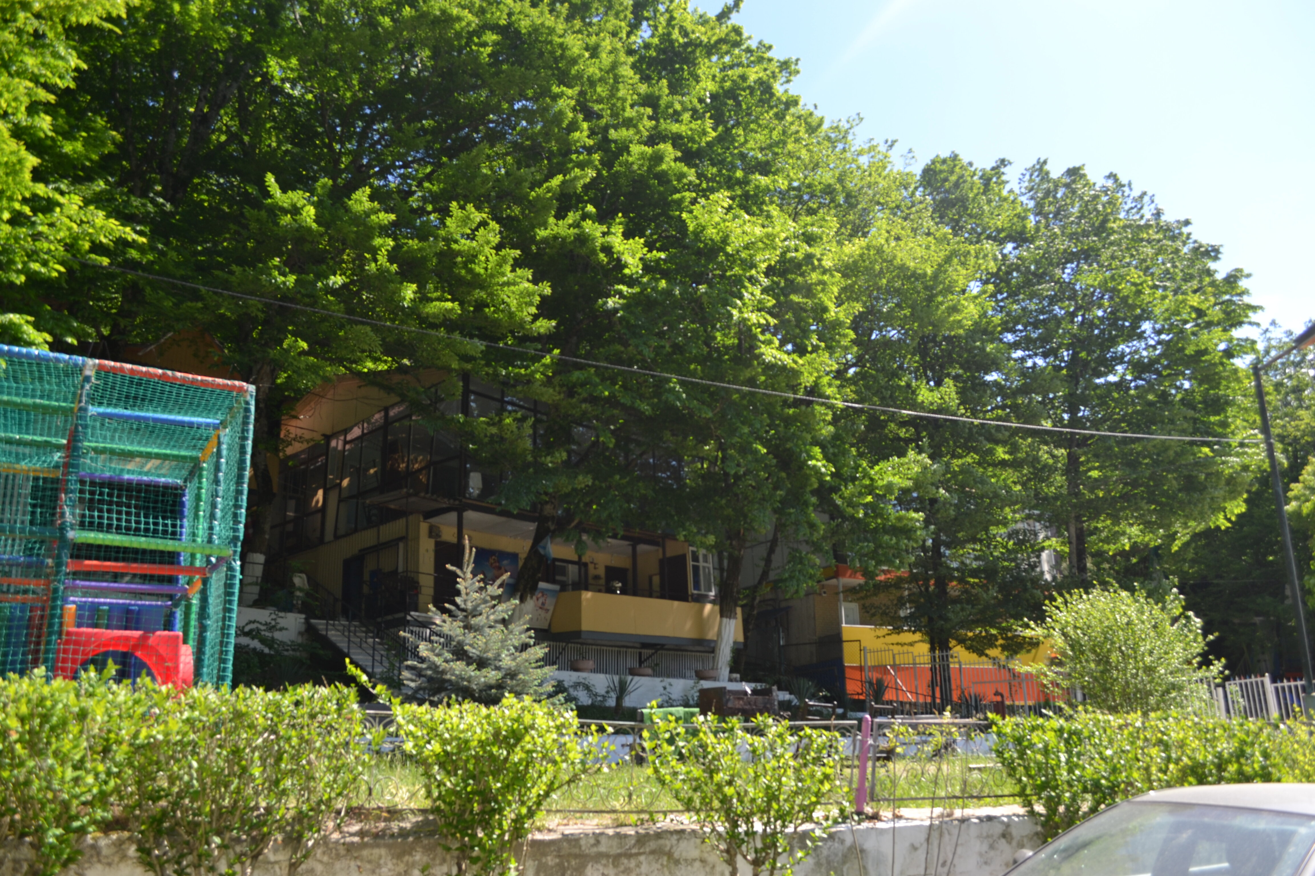 Фото Аммонит