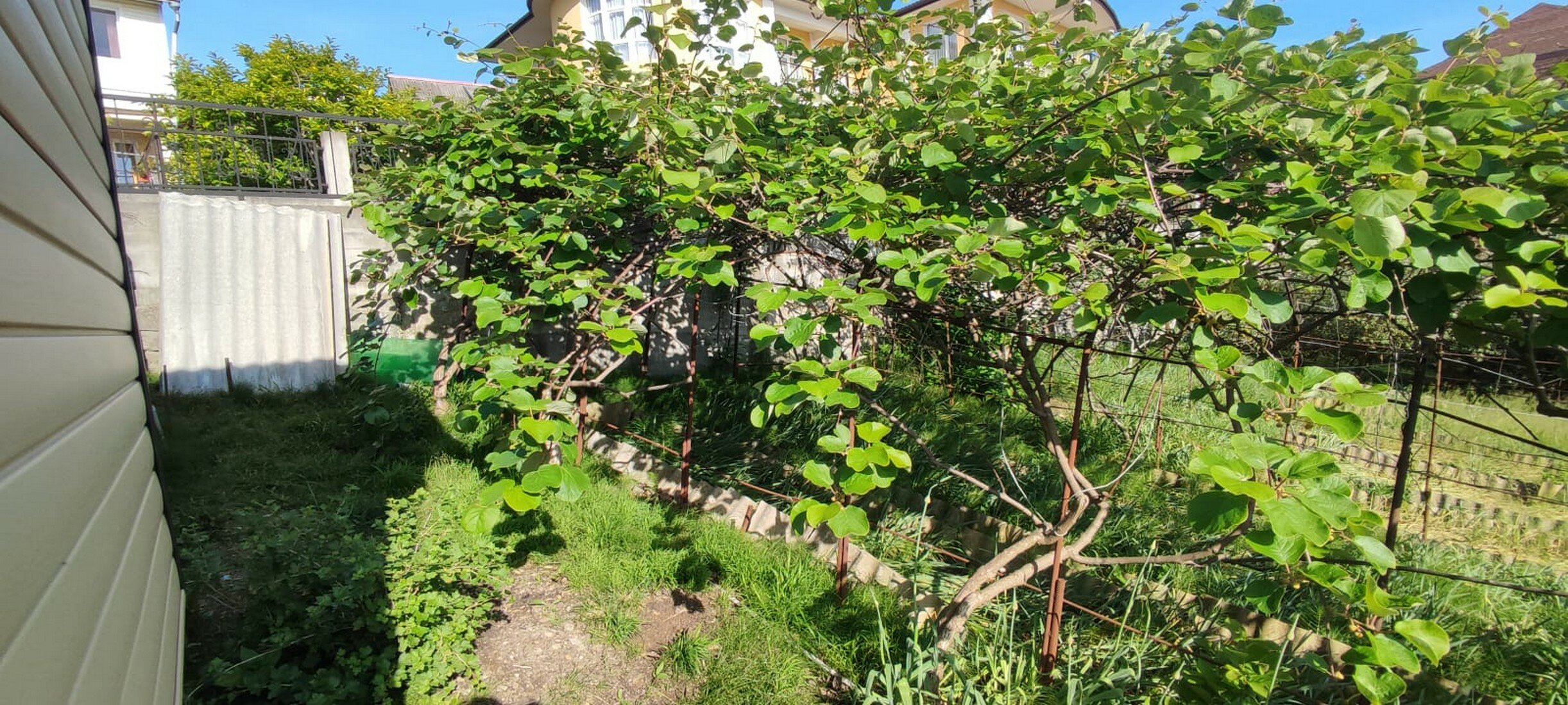 Фото Эвелина