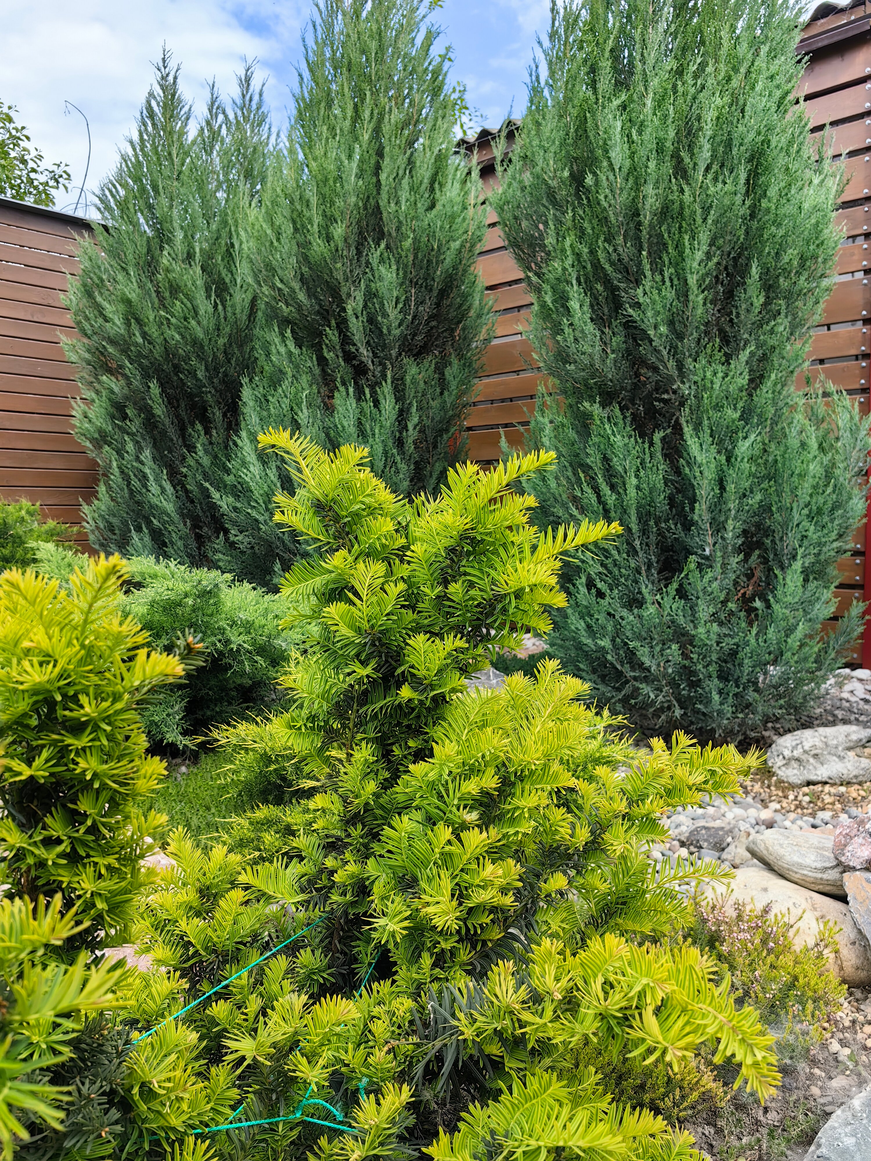 Фото Территория Комфорта