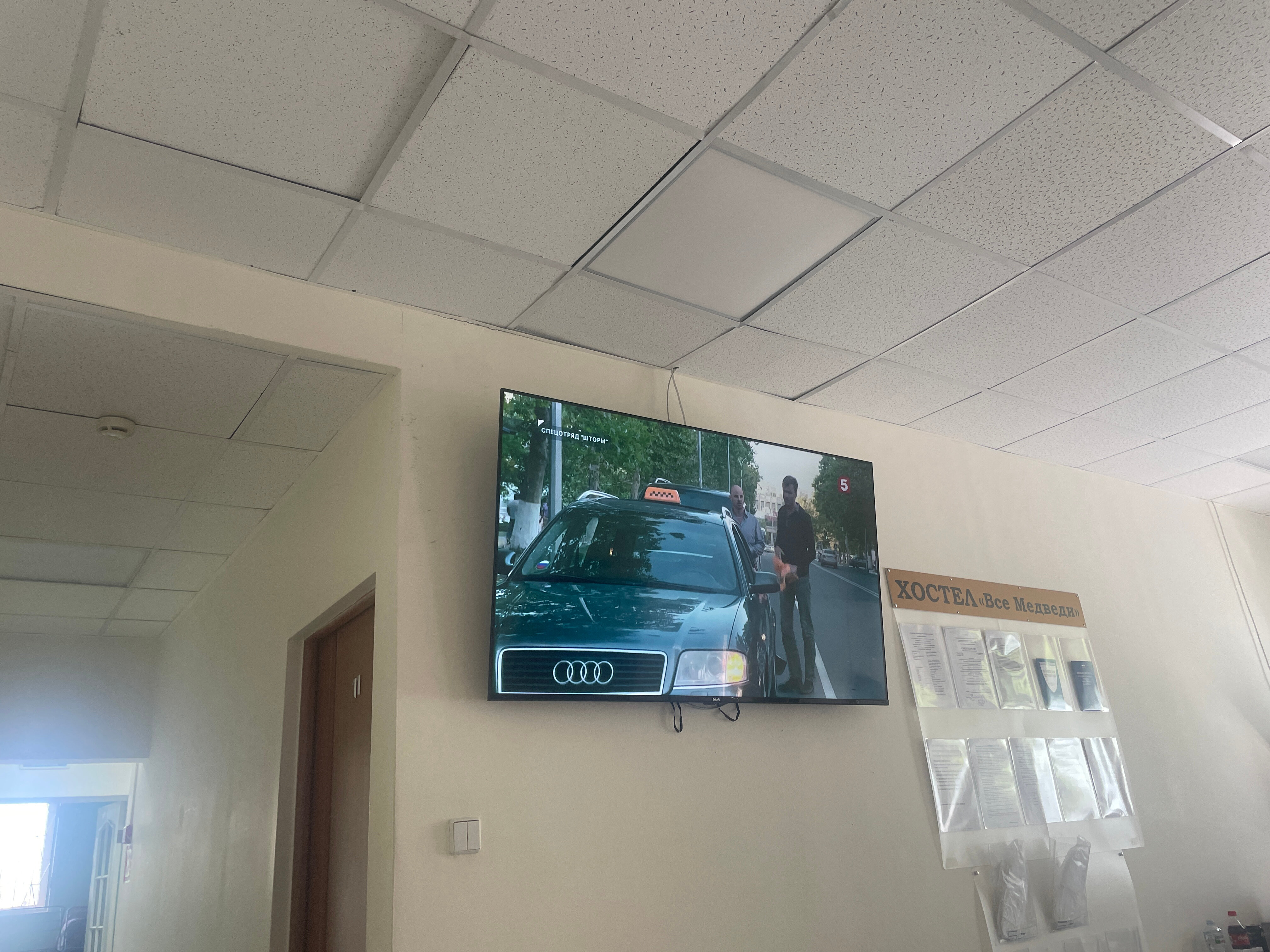 Фото Все медведи