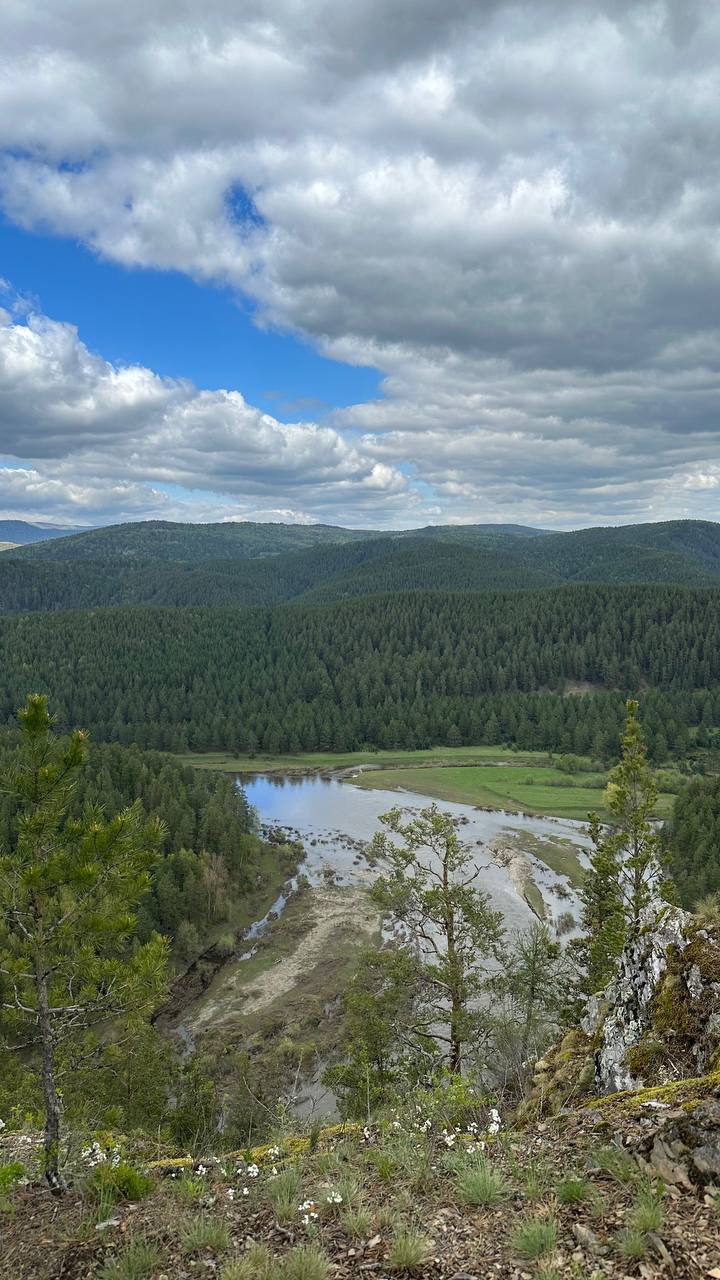 Фото Пилигрим