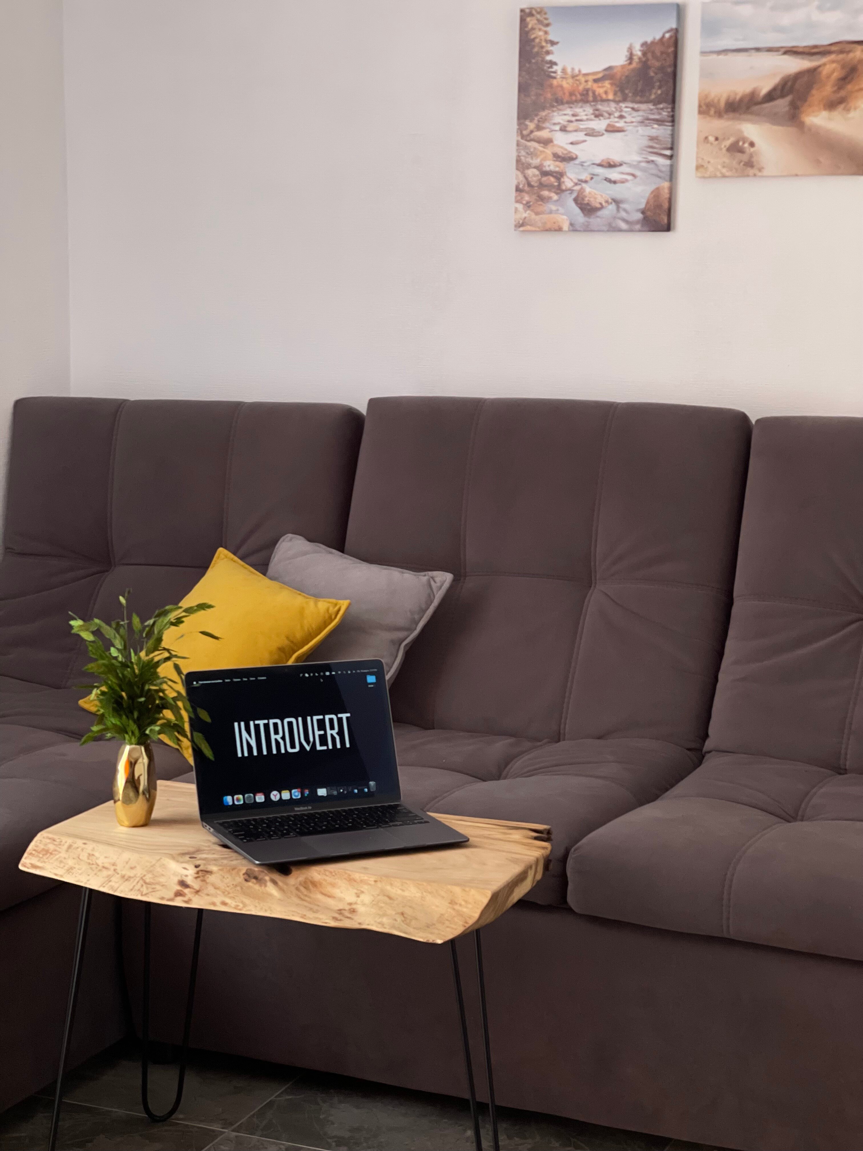 Фото Introvert House