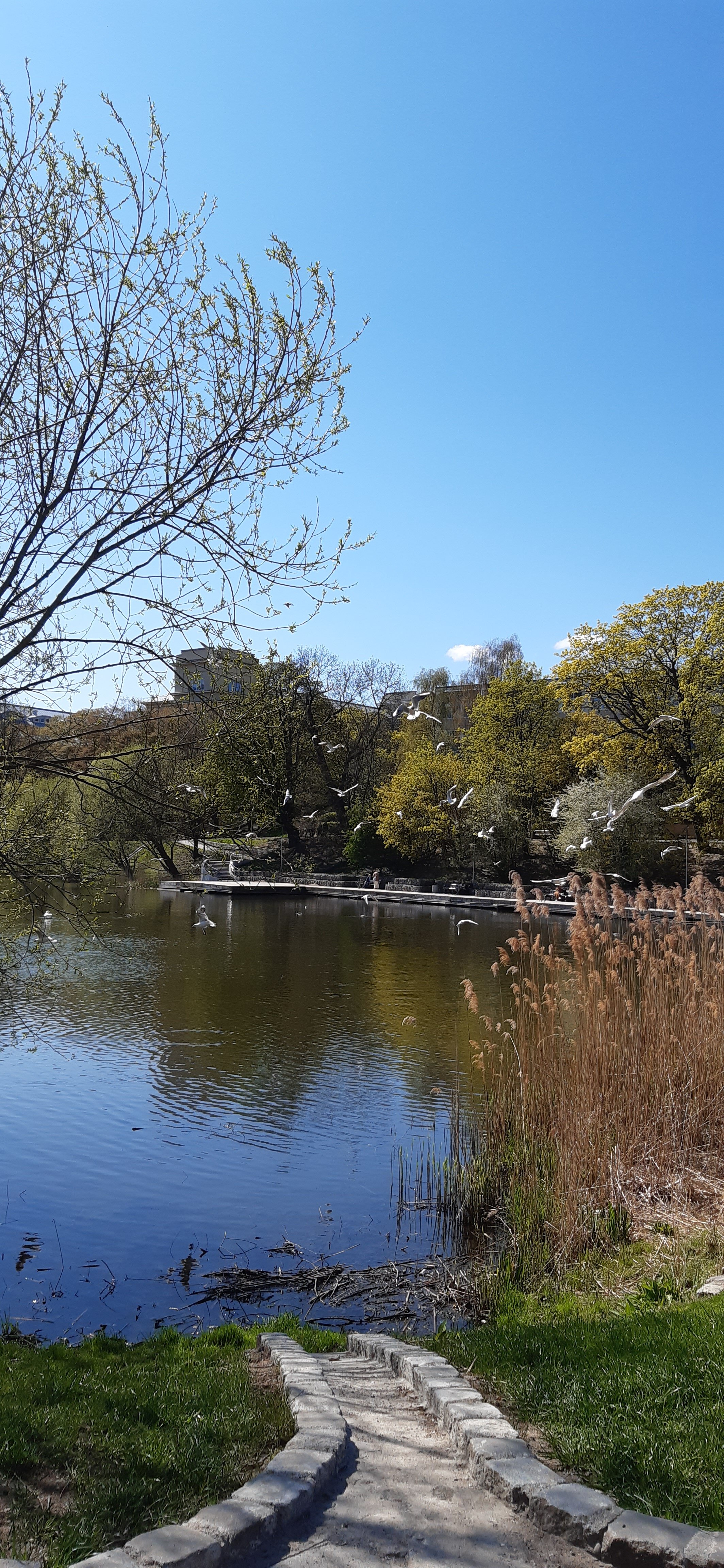 Фото Апартотель Лонгин
