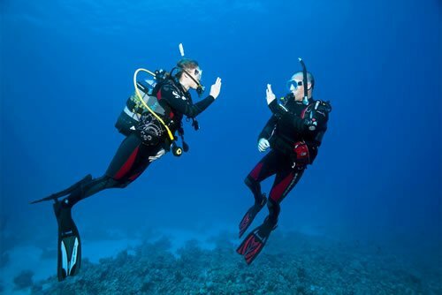 مستلزمات السياحة هوليكس الغوص ، جدة، صورة