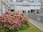Institut detskoy onkologii, gematologii i transplantologii imeni R.M. Gorbachevoy Tsentr po lecheniyu detskikh leykozov (Lva Tolstogo Street, 6-8Н), hospital especializado