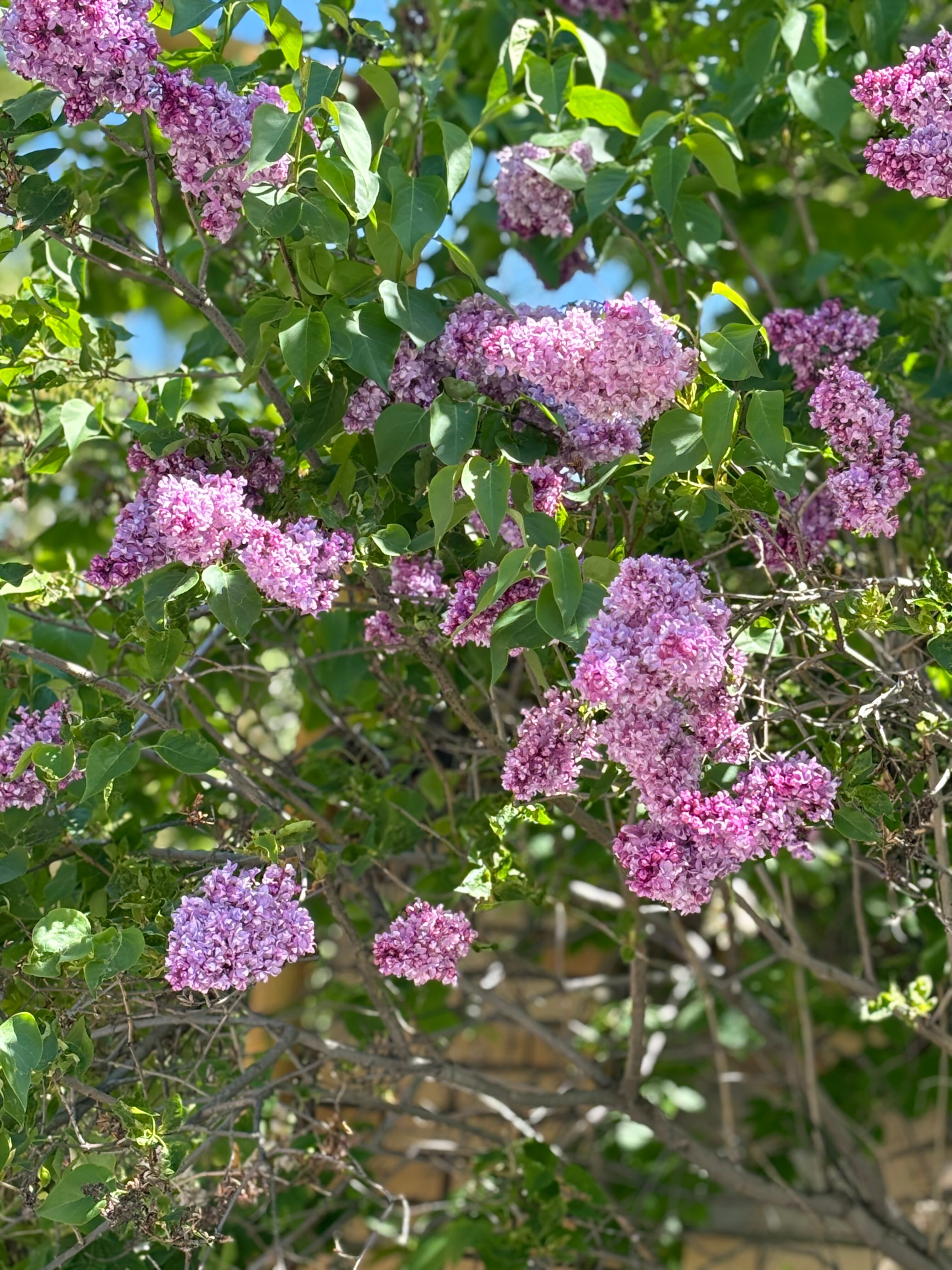 Фото Дом Увильды