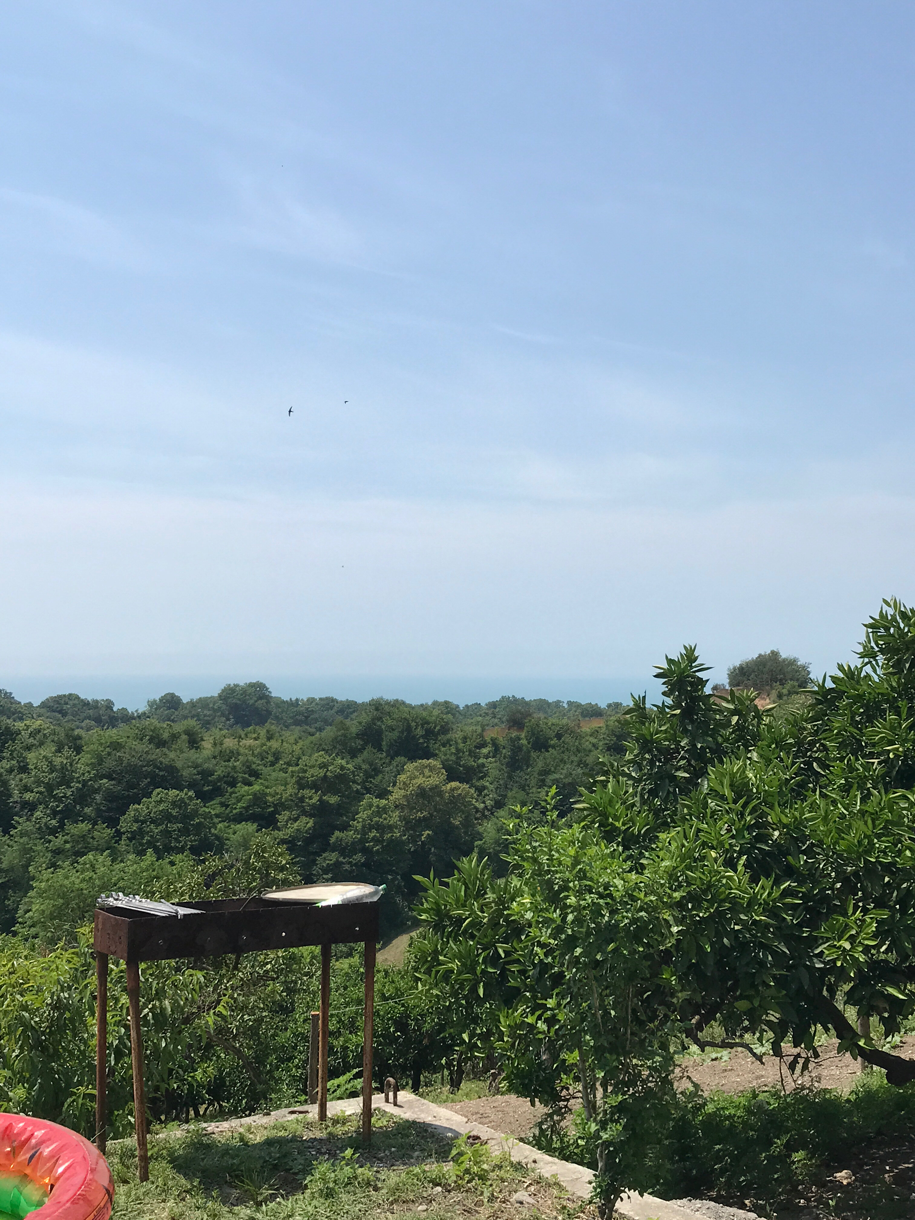 Фото Руслан и Людмила