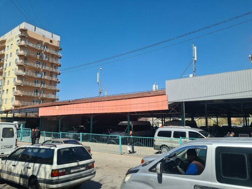 Автобуста бөксесін ысқылау