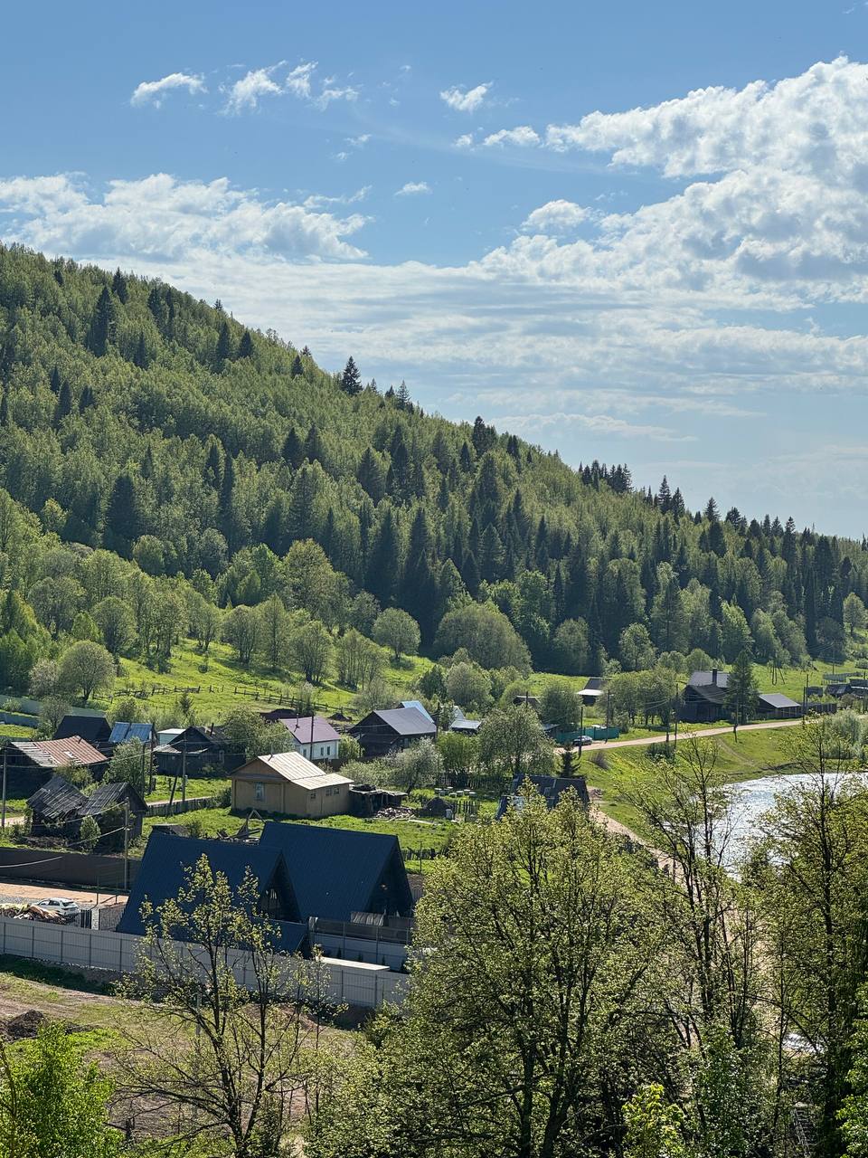 Фото Берег Сарвы