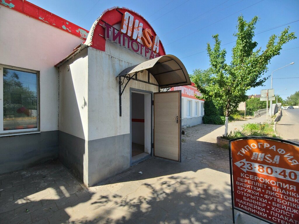 Large format printing Лиса, Astrahan, photo