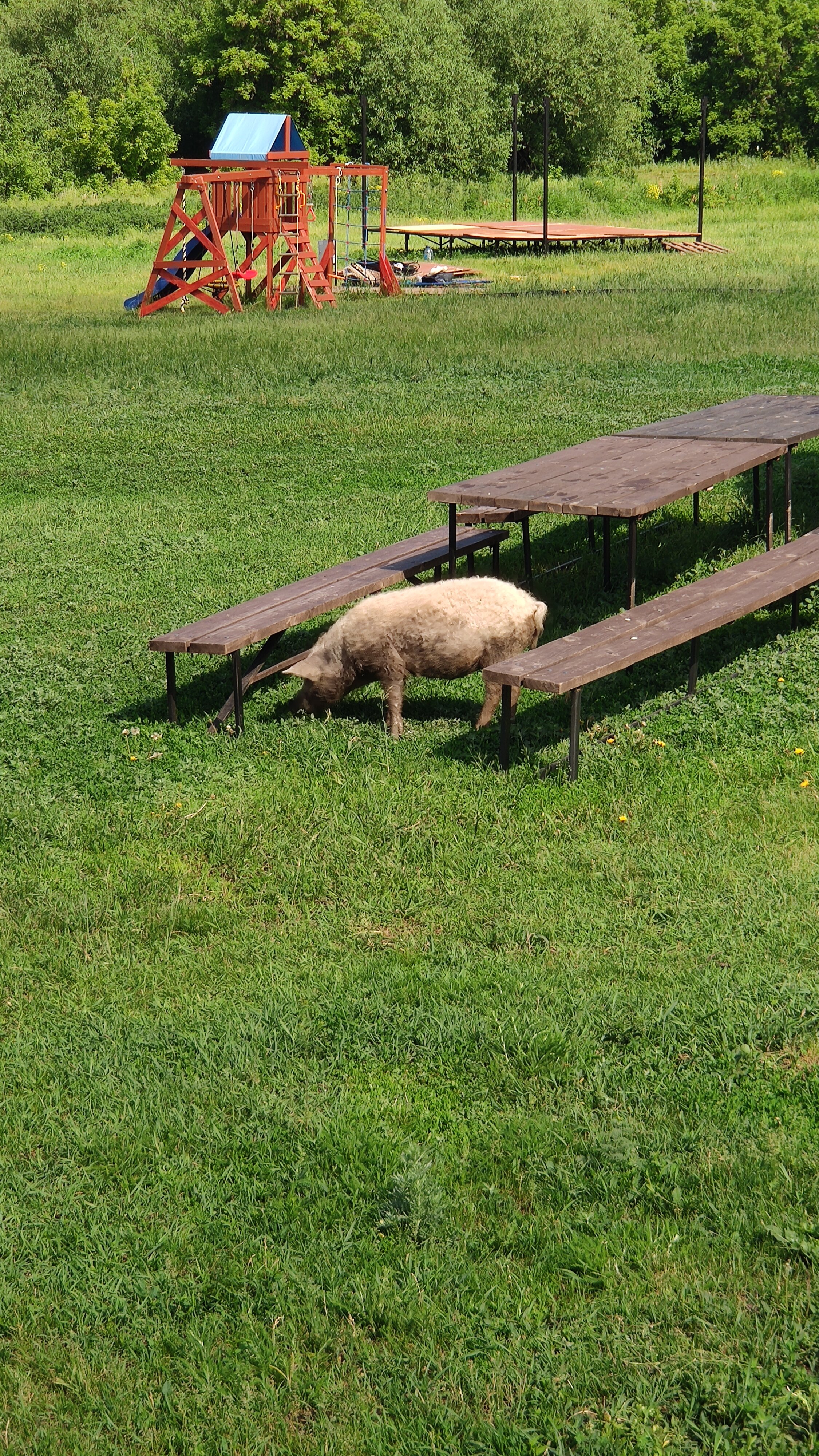 Фото Солнечный Пригорок