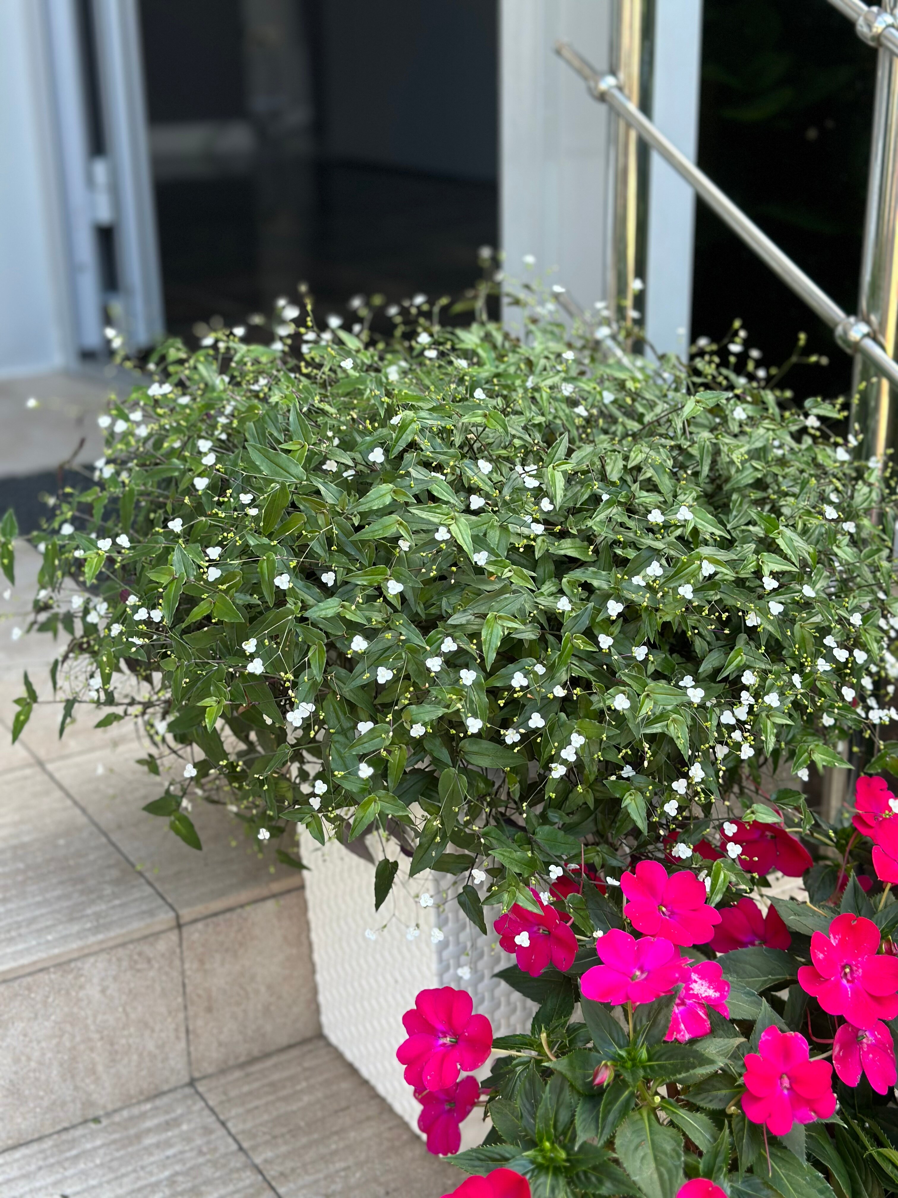 Фото Эллада