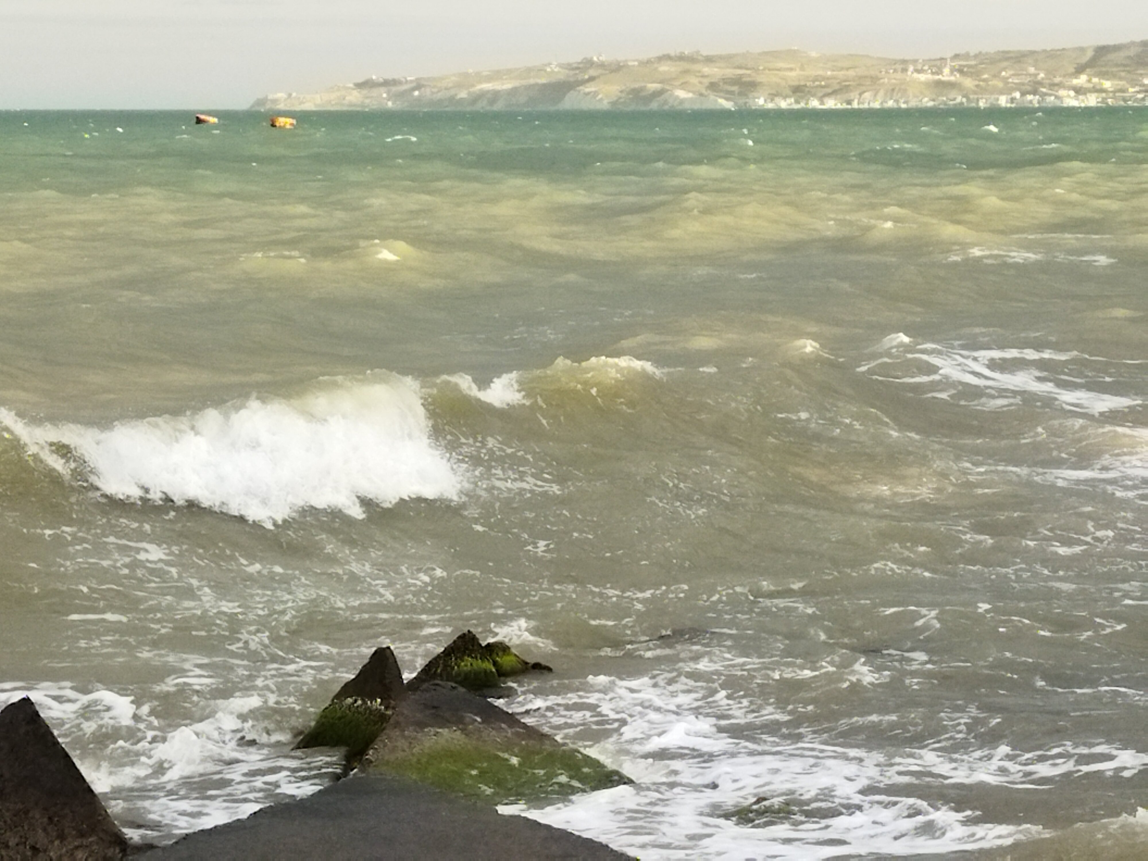 Фото У Моря