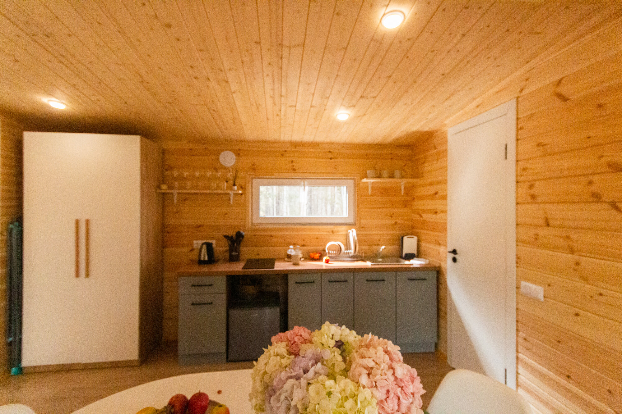 Фото Forest time