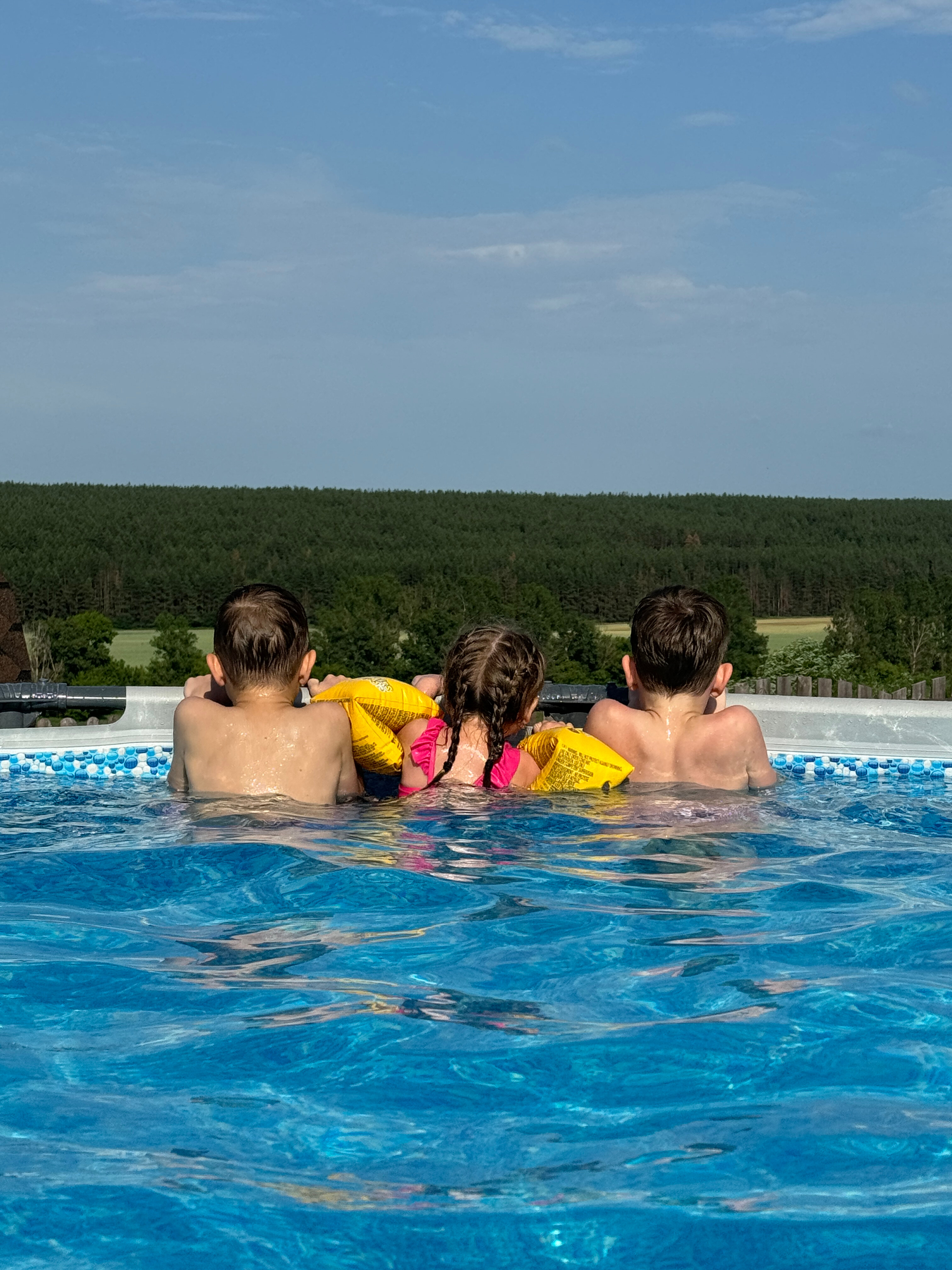 Фото Усадьба Дон