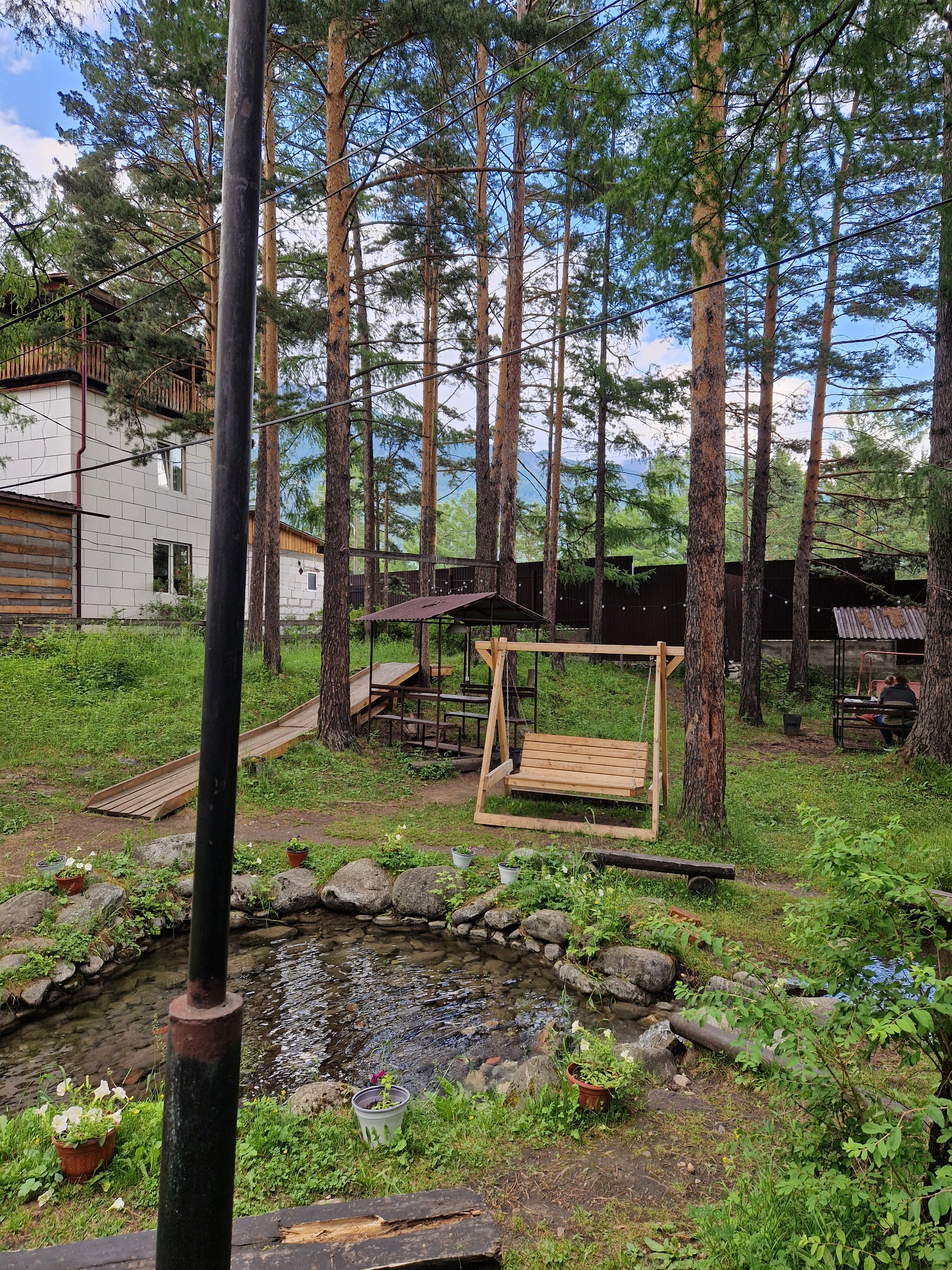 Фото Аршанский бор