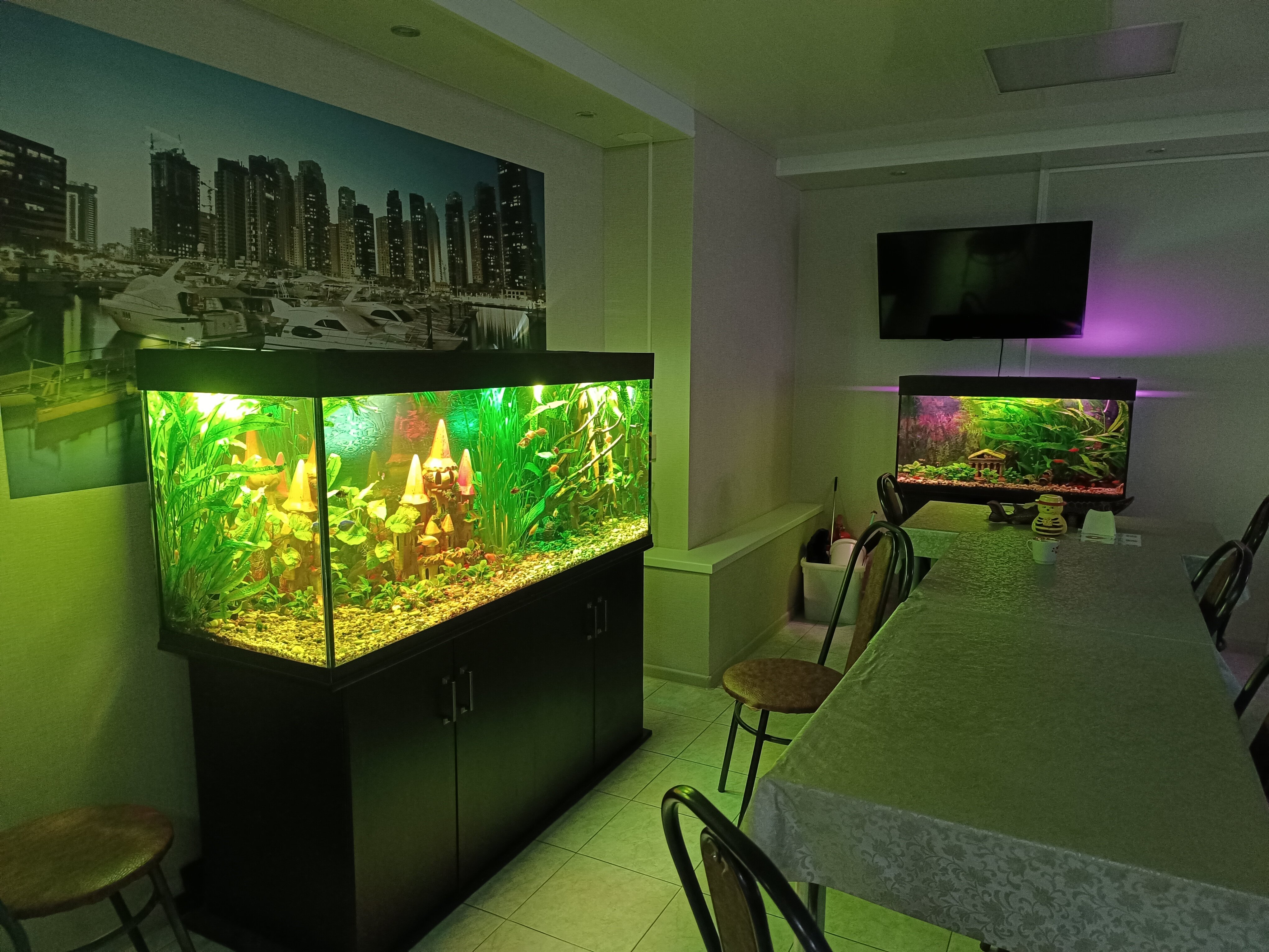 Фото Мини-гостиница на Ветеранов Октября 20