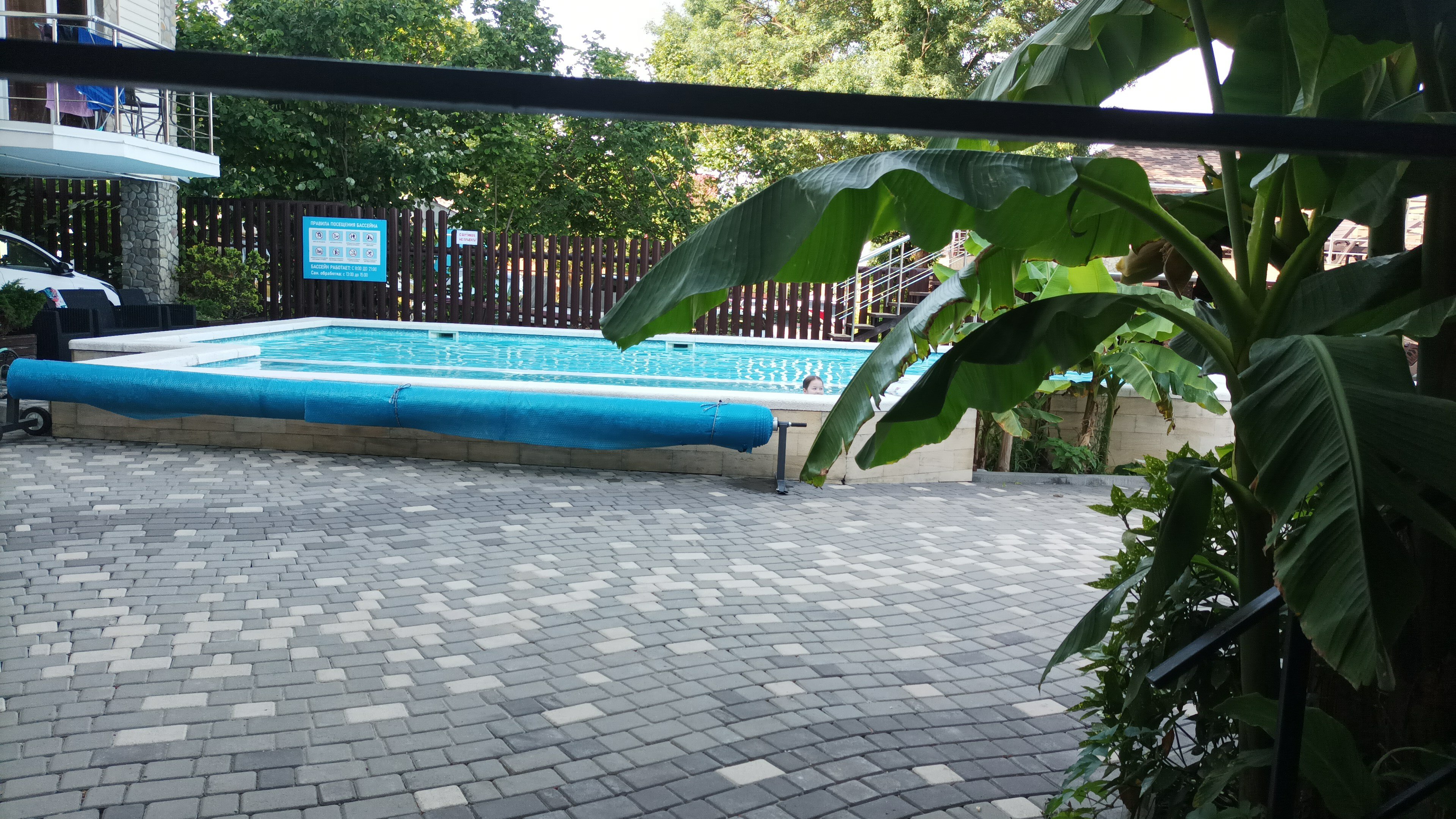 Фото Березы