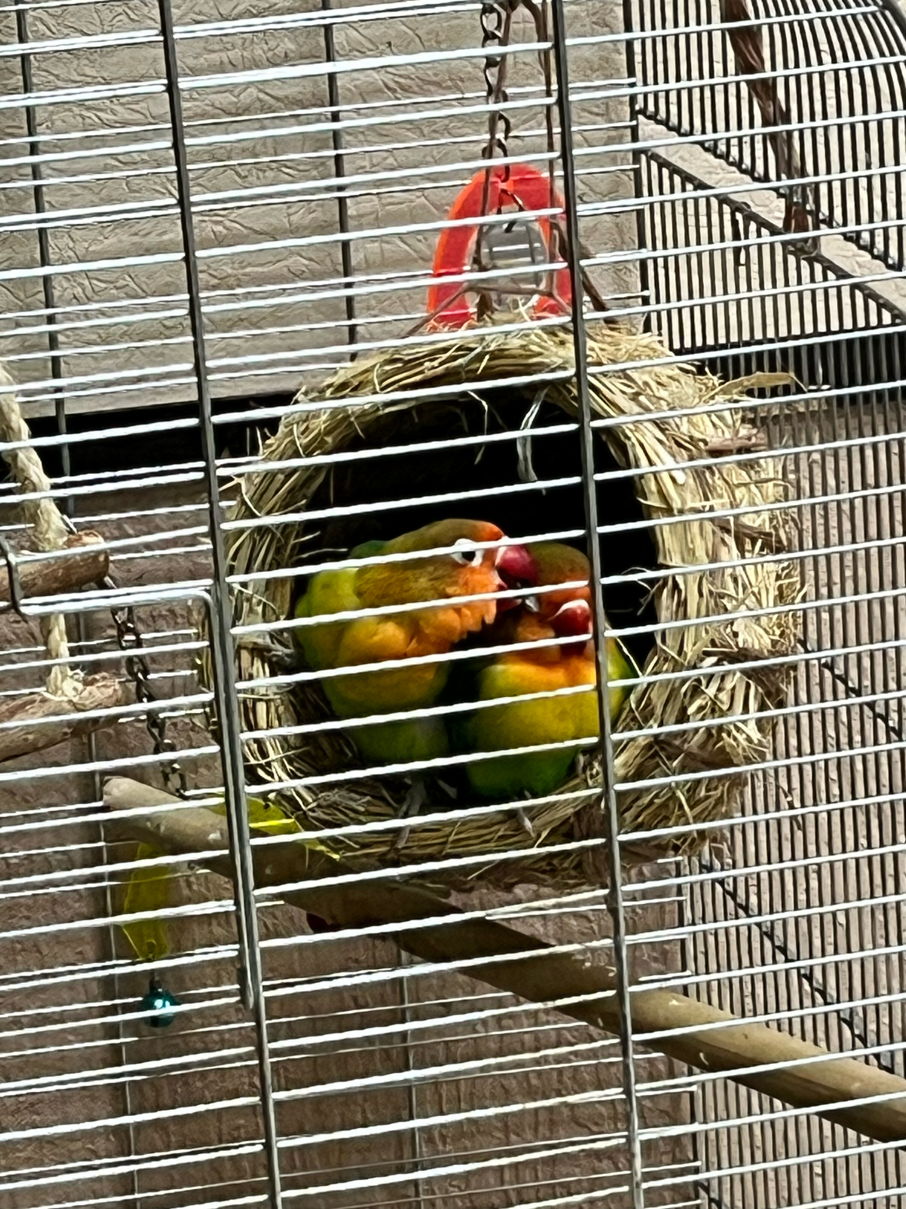 Фото Акварель